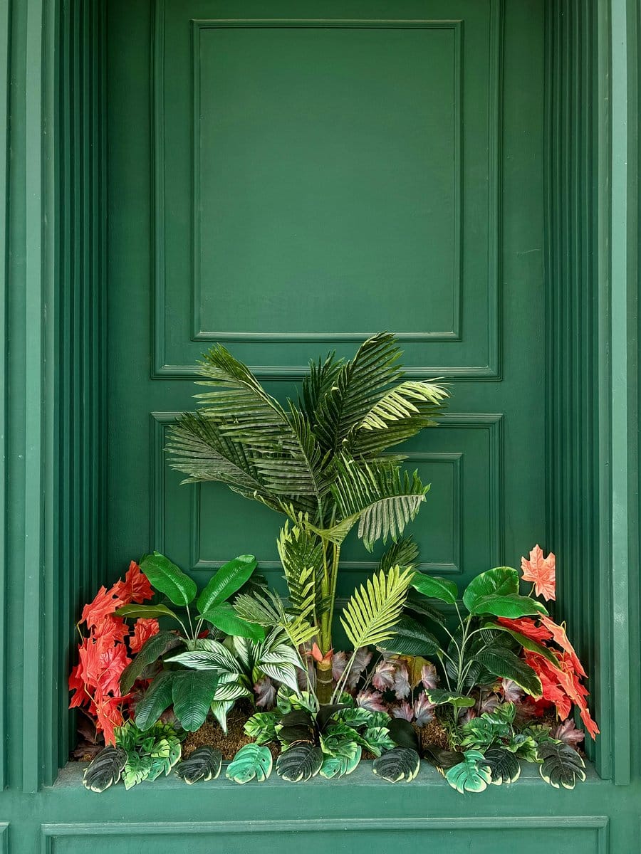 Exotic tabletop plant display with colorful foliage