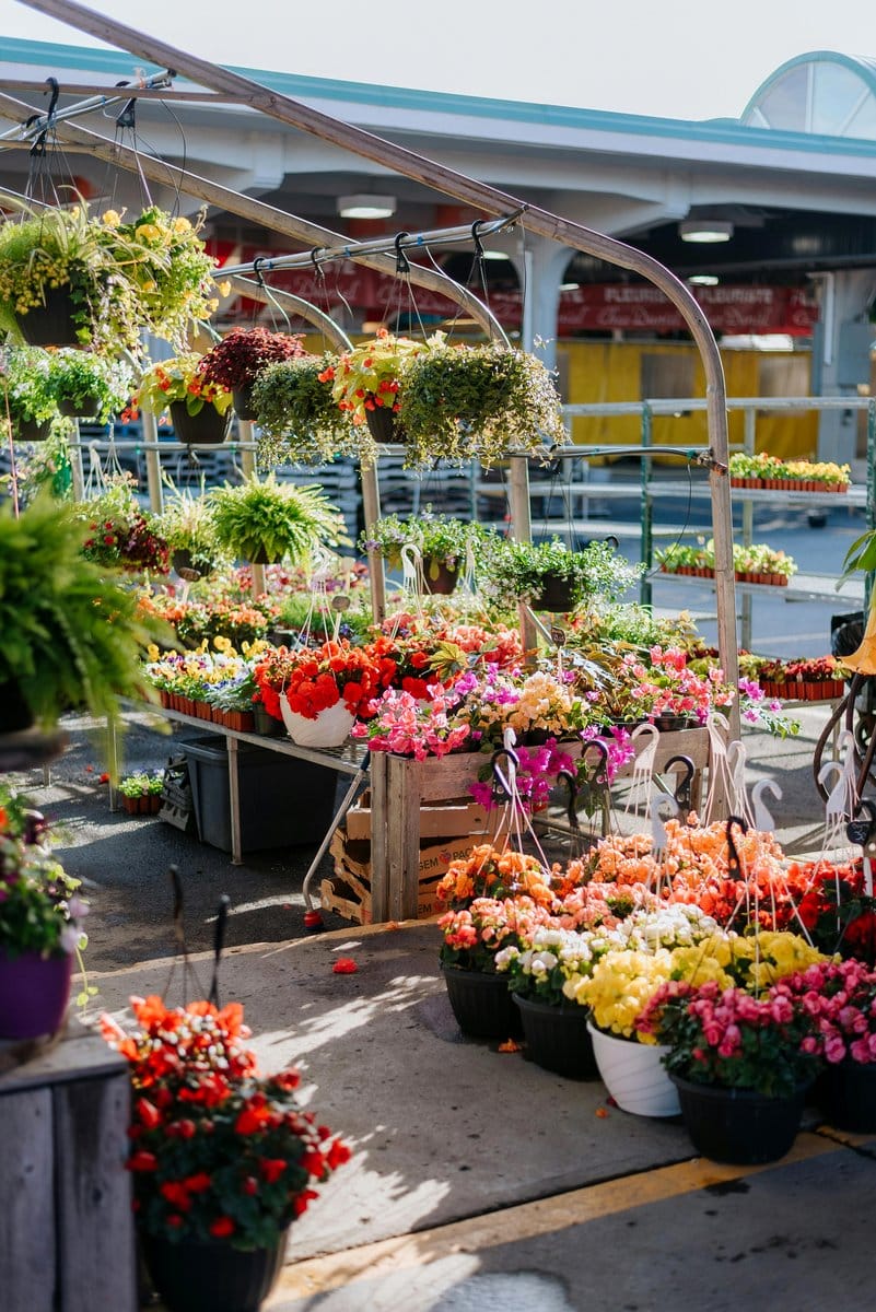 colorful hanging baskets
