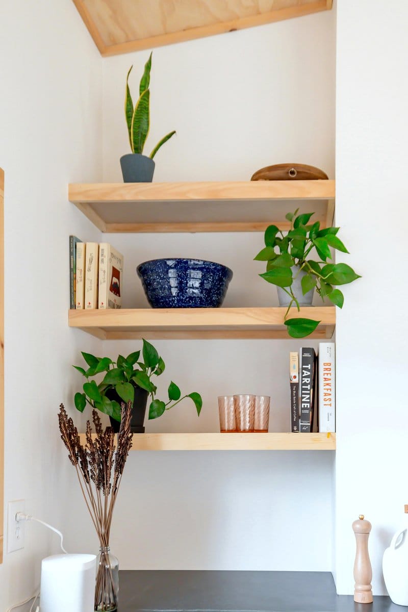 pothos trailing from bookshelf