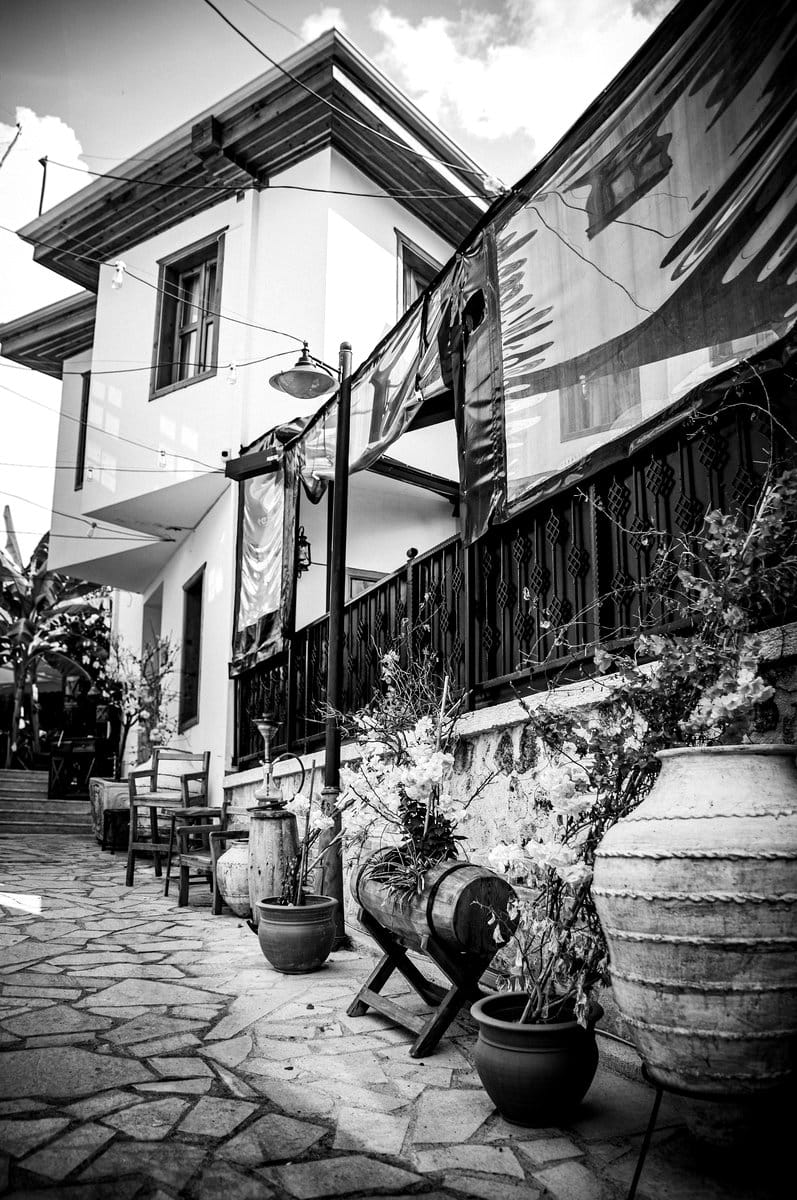 black and white pots with plants