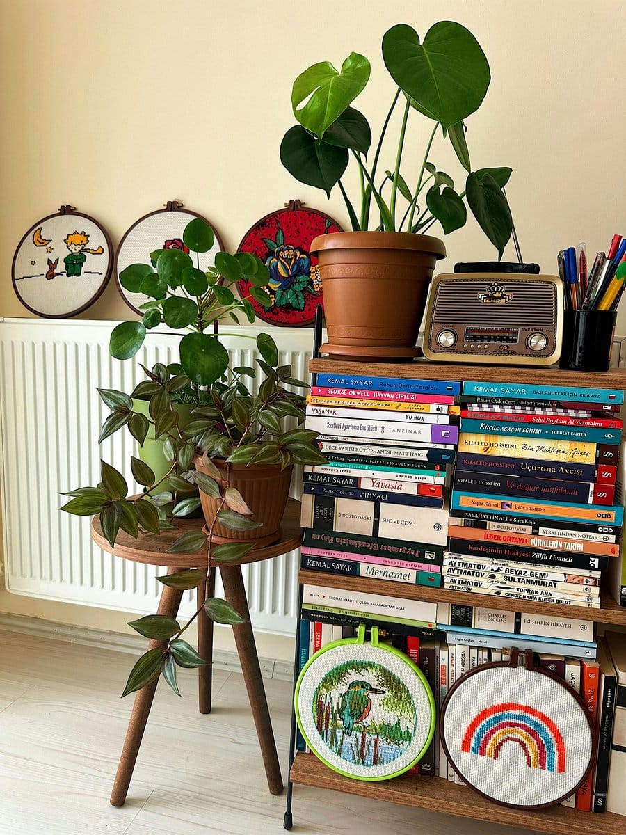 bookshelf with integrated plants