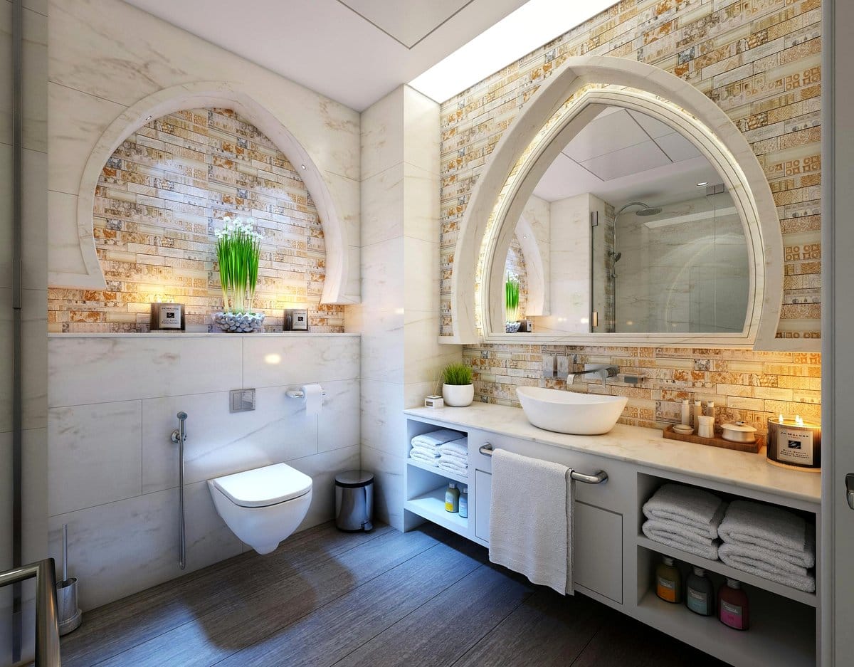 air plants on bathroom shelf