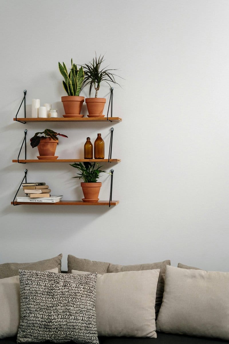 floating shelves with potted plants