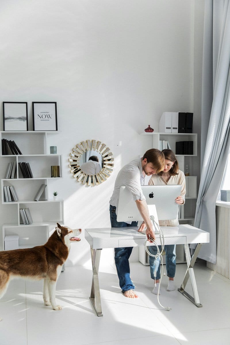 pet-friendly living room setup