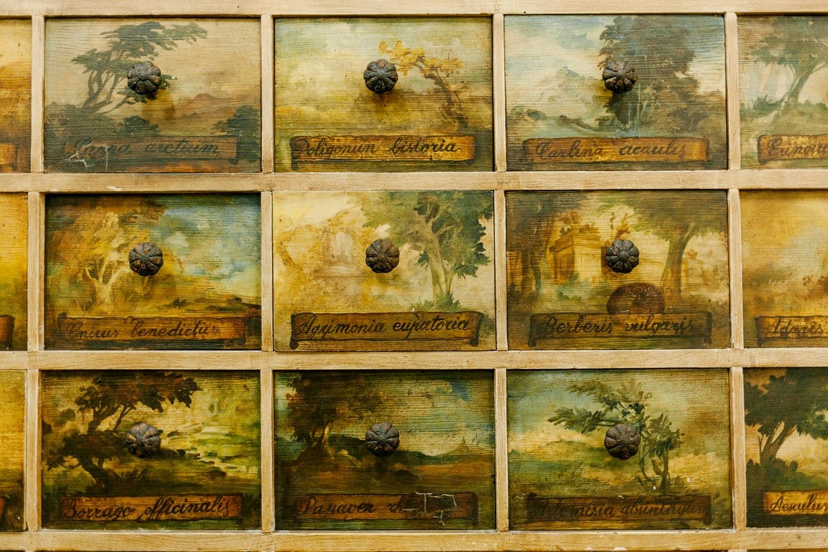 decorative herb labels in pots