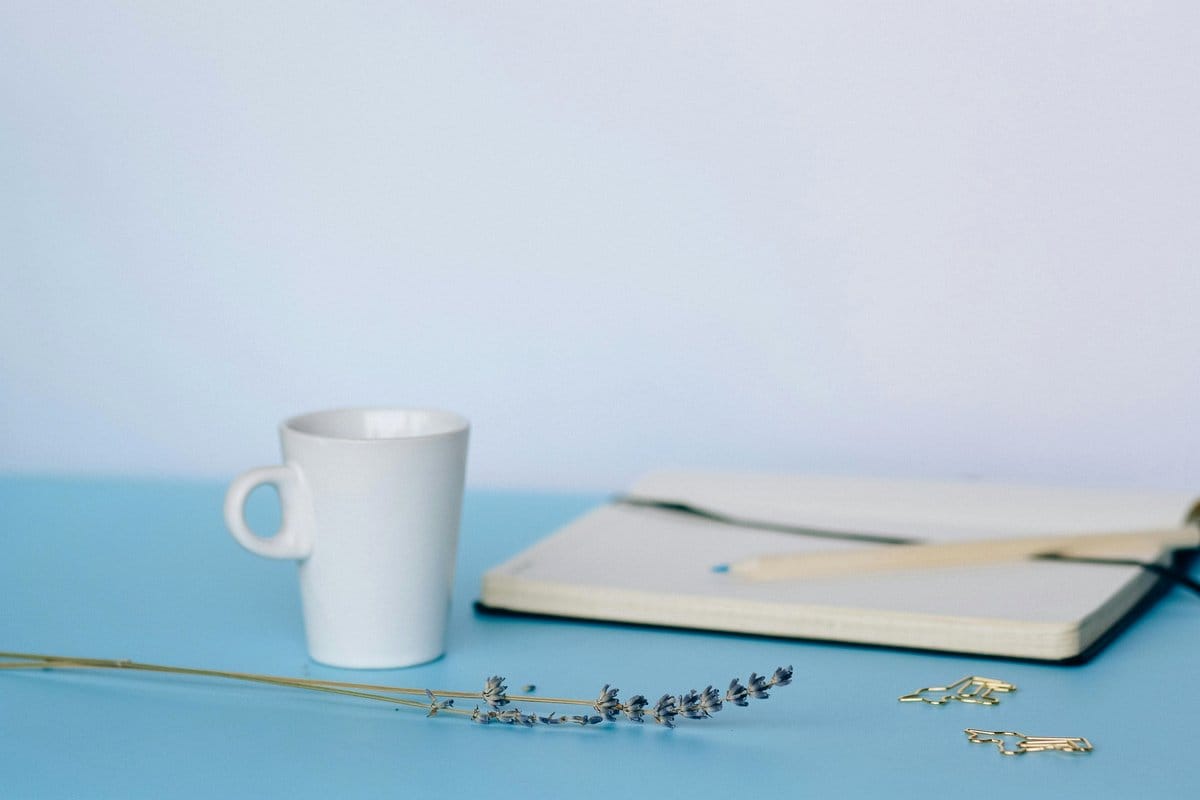 lavender plant on desk