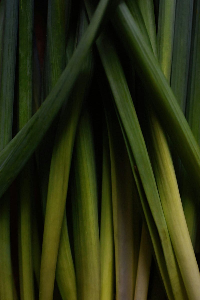 lemongrass stalks in vase