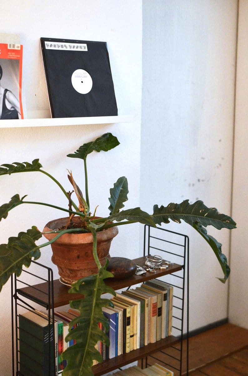 Multi-tier vinyl record plant pot stand with diverse plants