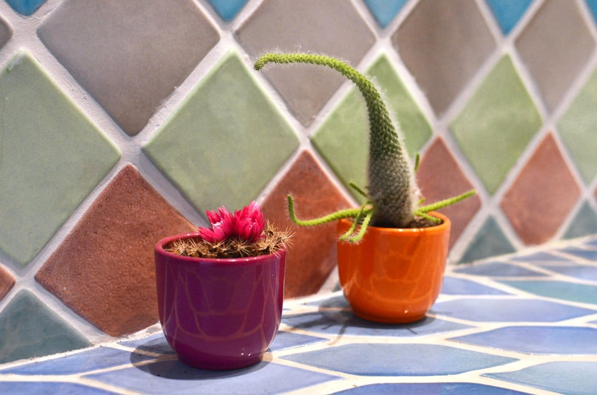 Diverse mosaic tile patterns on plant pots