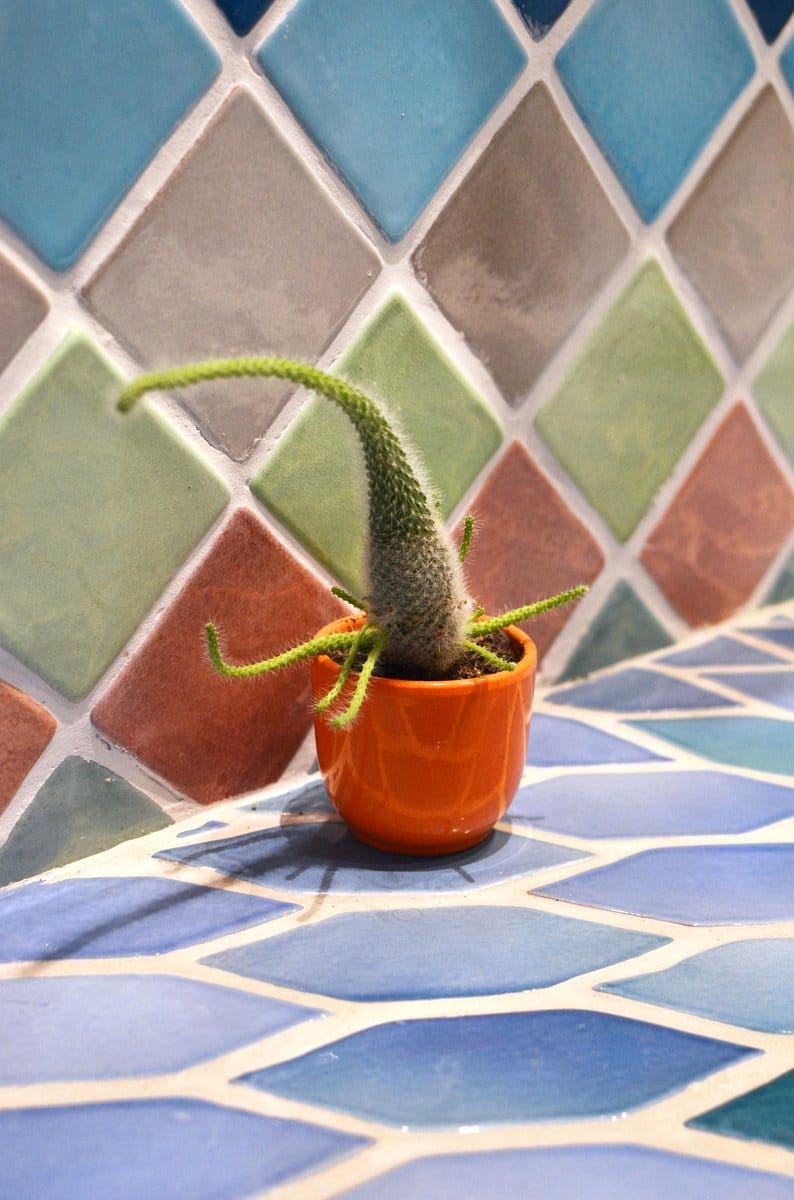 Mosaic tile wraps protecting plant roots