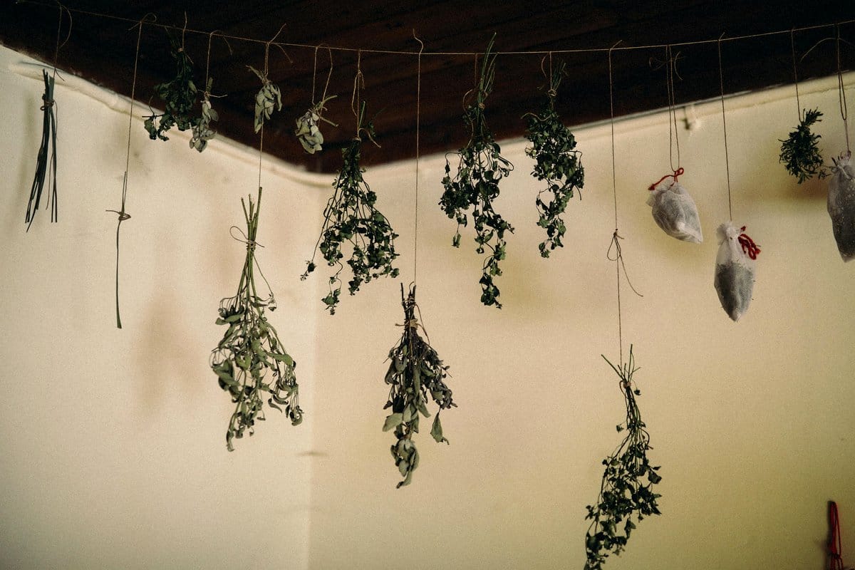 String lights hanging above plants