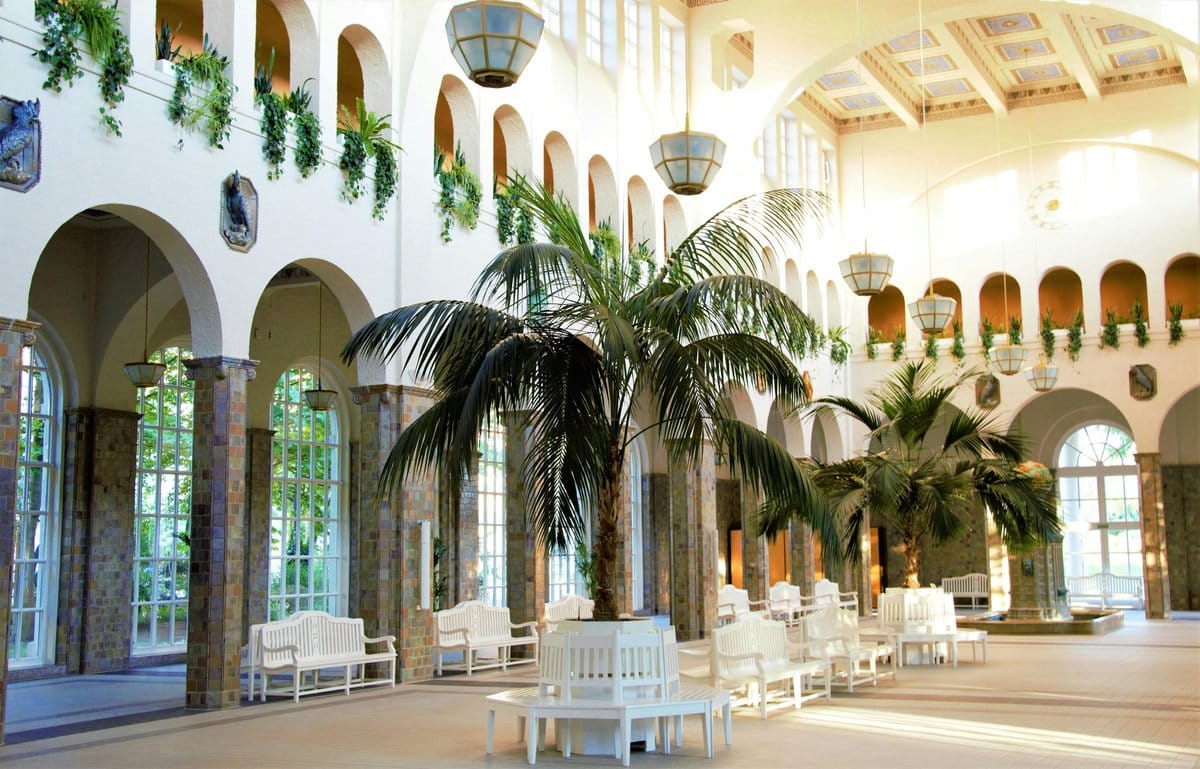kentia palm in airy hallway