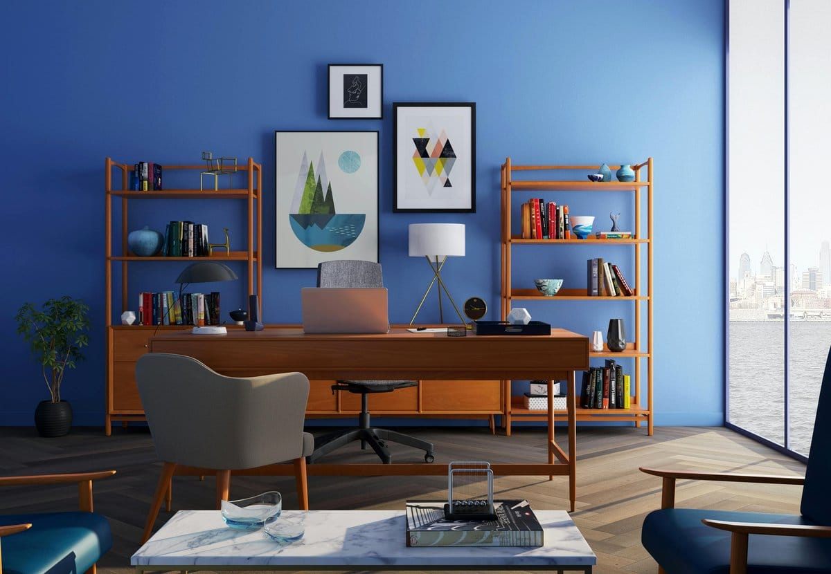 spider plant on bookshelf