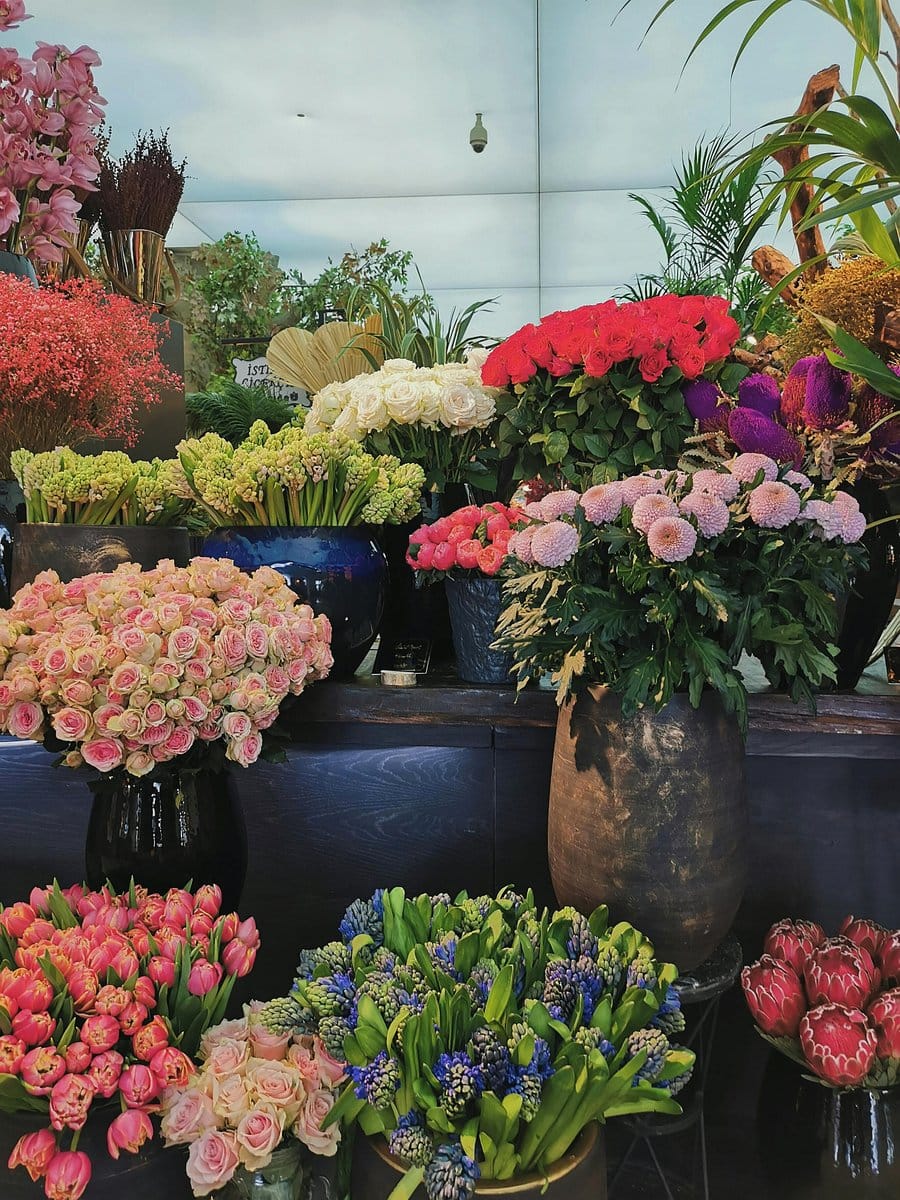 Assorted vibrant ceramic pots