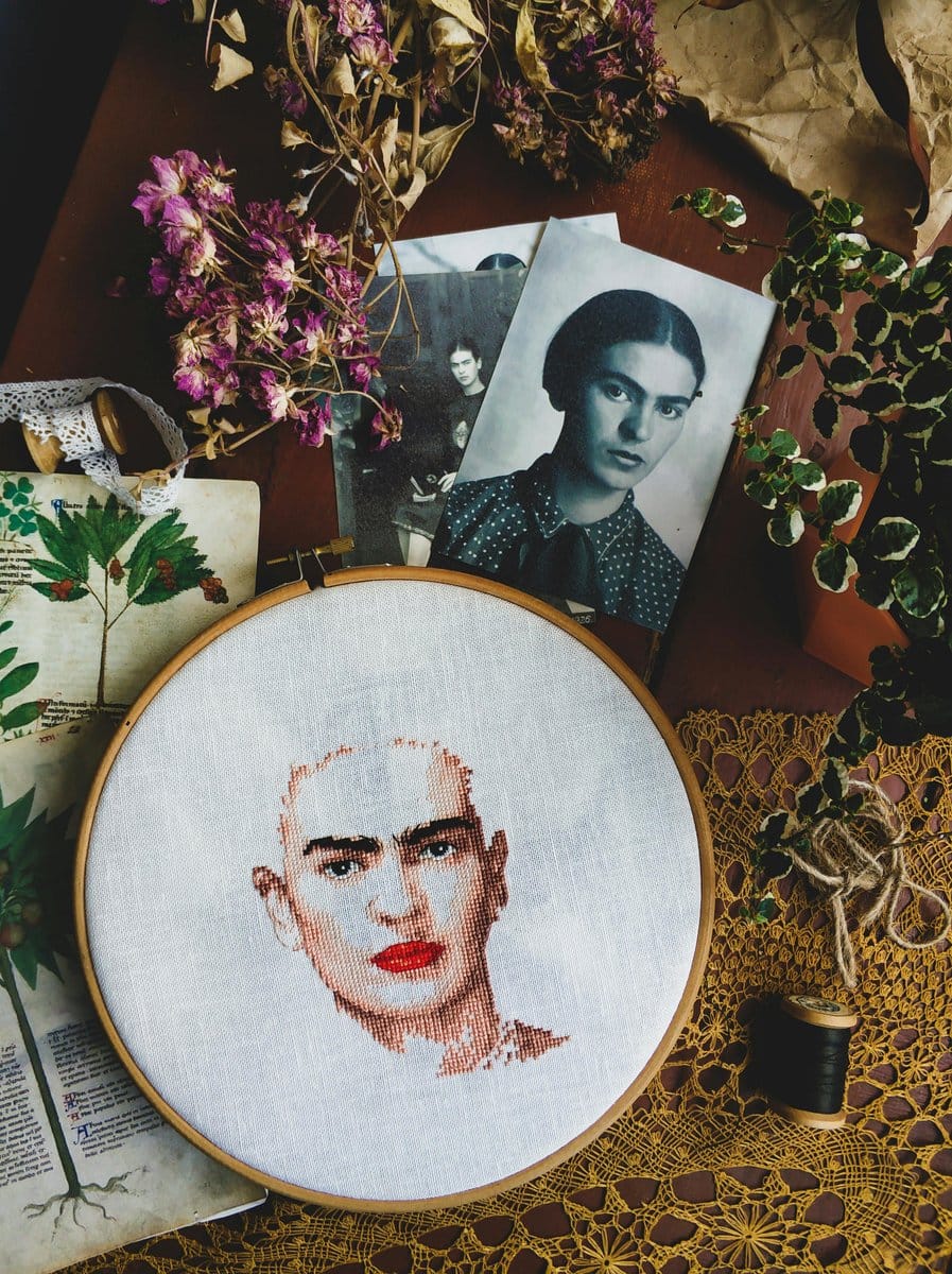 embroidery hoop with epiphyte arrangement