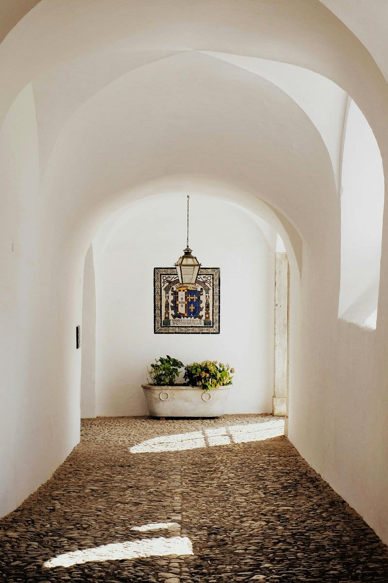 trio of hanging plants in hallway