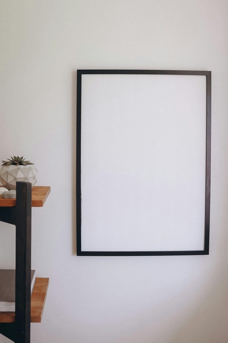modern geometric frame with succulents