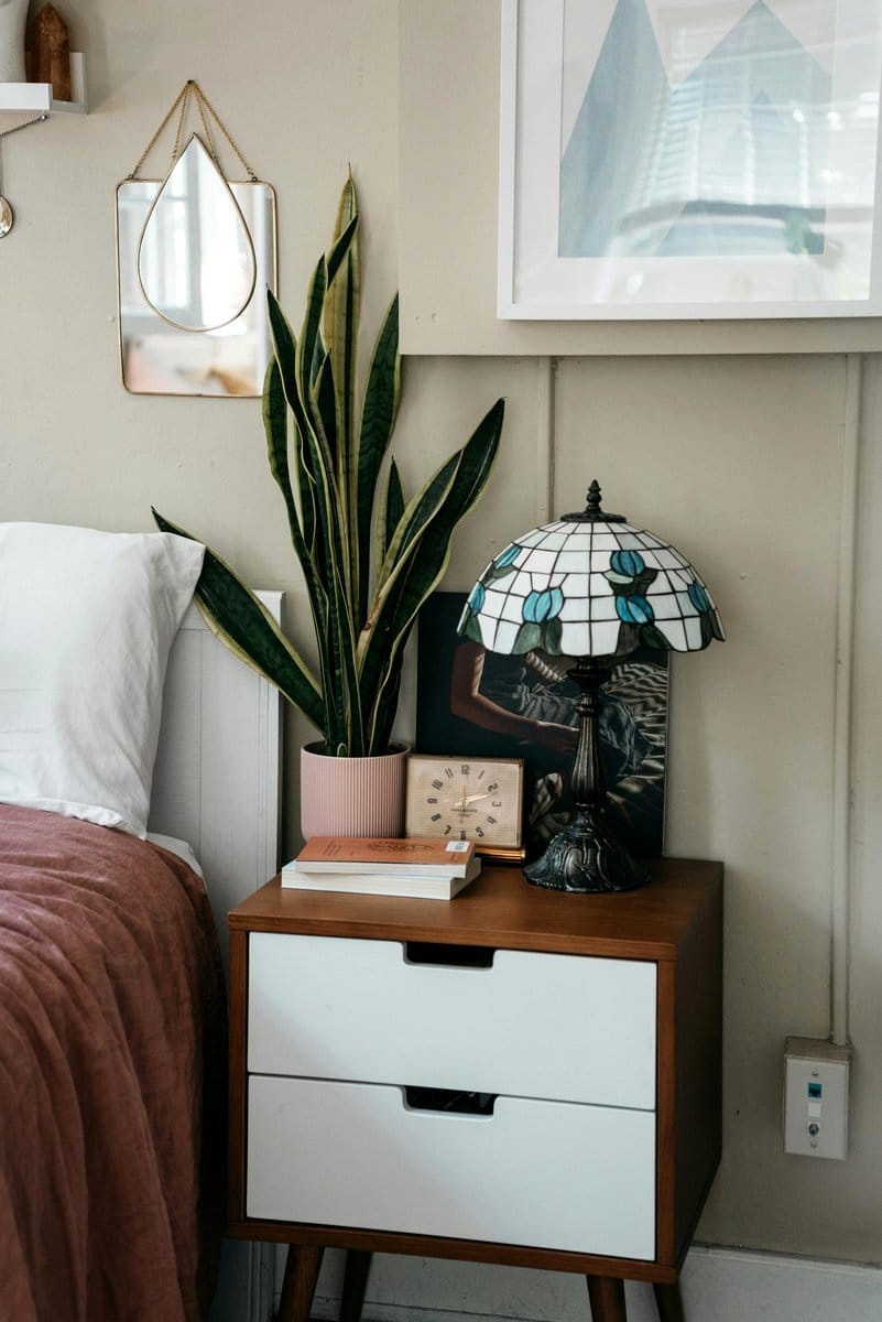snake plant on nightstand