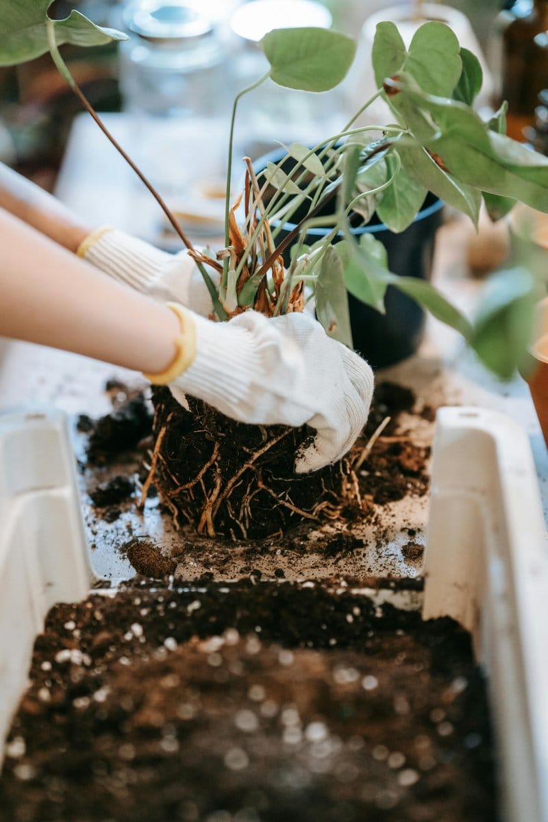gardener mixing potting soil
