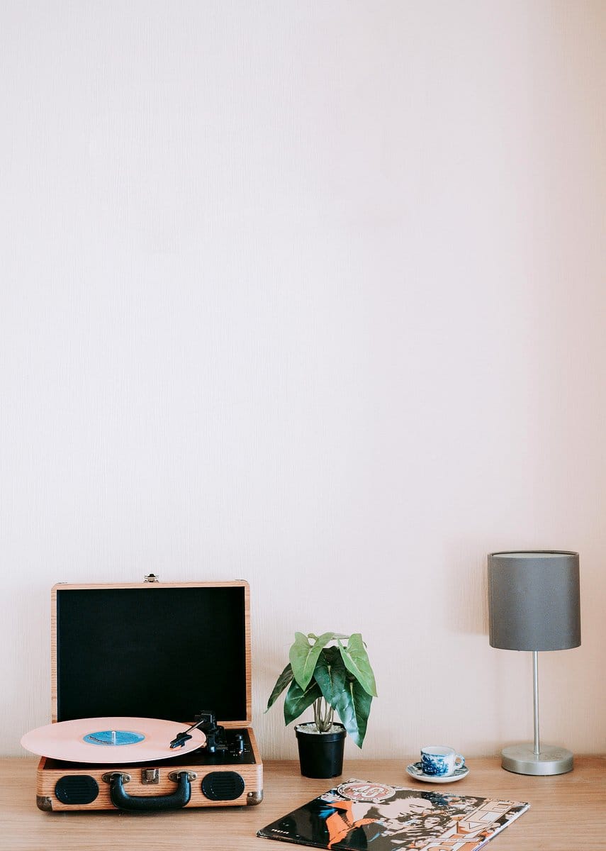 Office desk with vinyl record plant pot stand and succulents