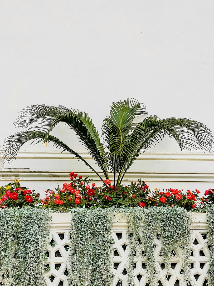 Elegant gilded pedestal with a vibrant plant display