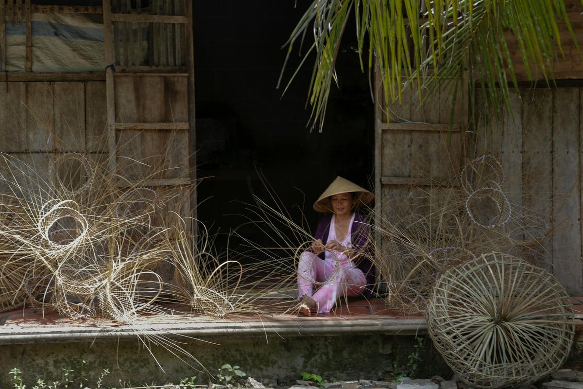 bamboo palm in a woven basket