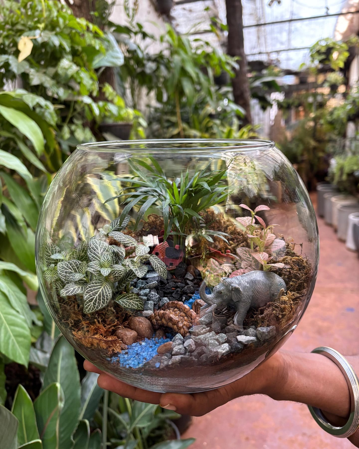 Moss, Fern, and Mini Orchid in glass terrarium