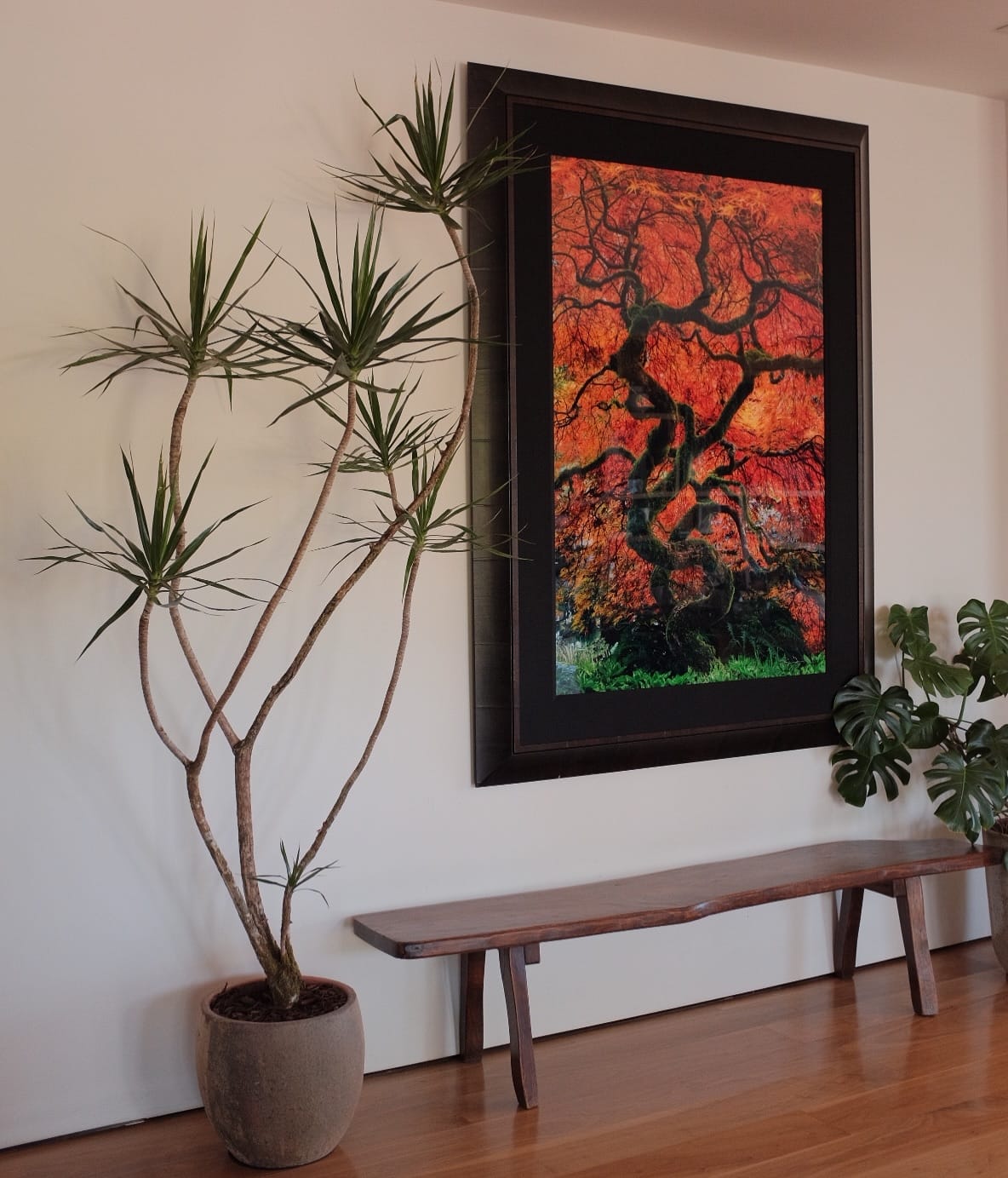 room corner with hanging plant art