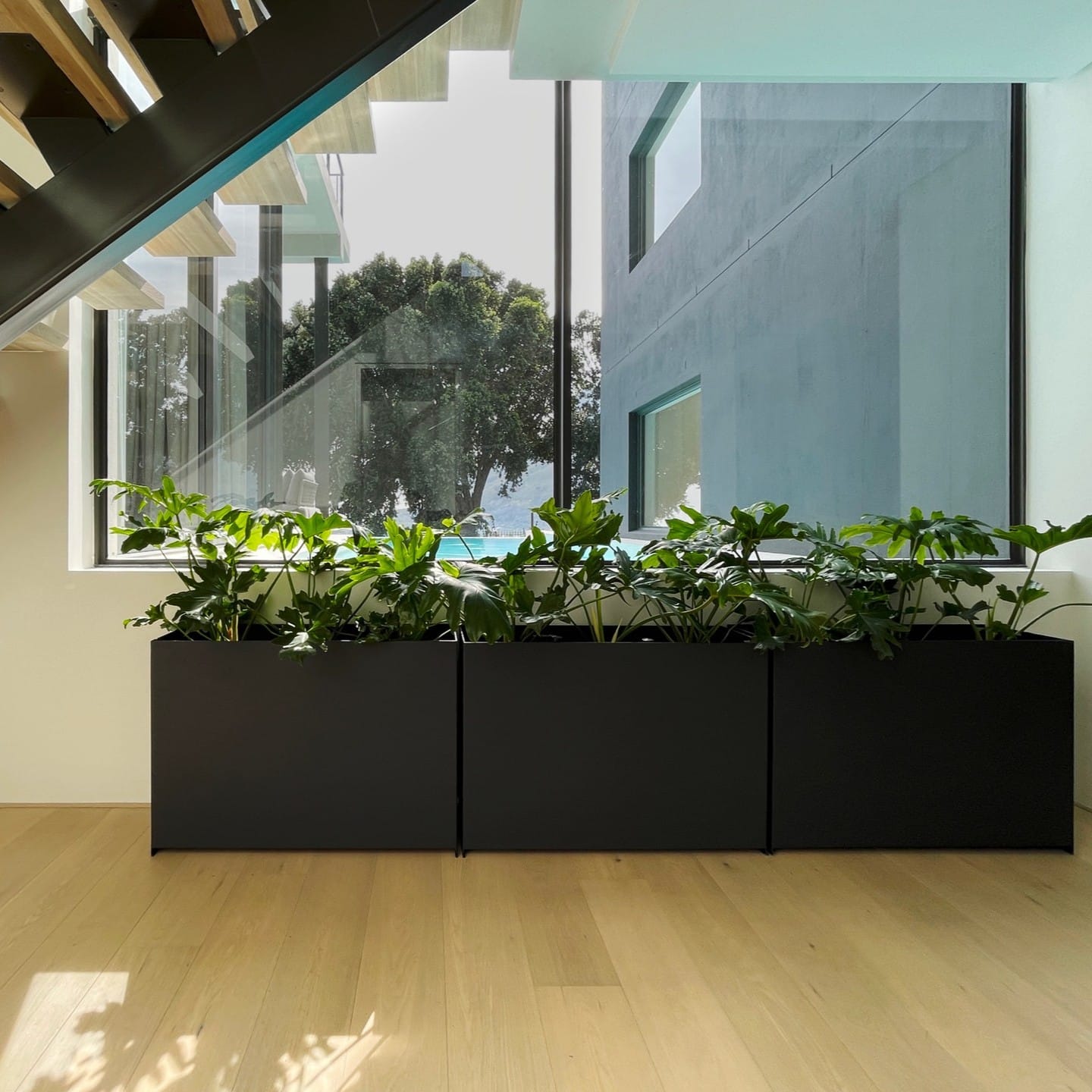 wooden planter box with ornamental grasses