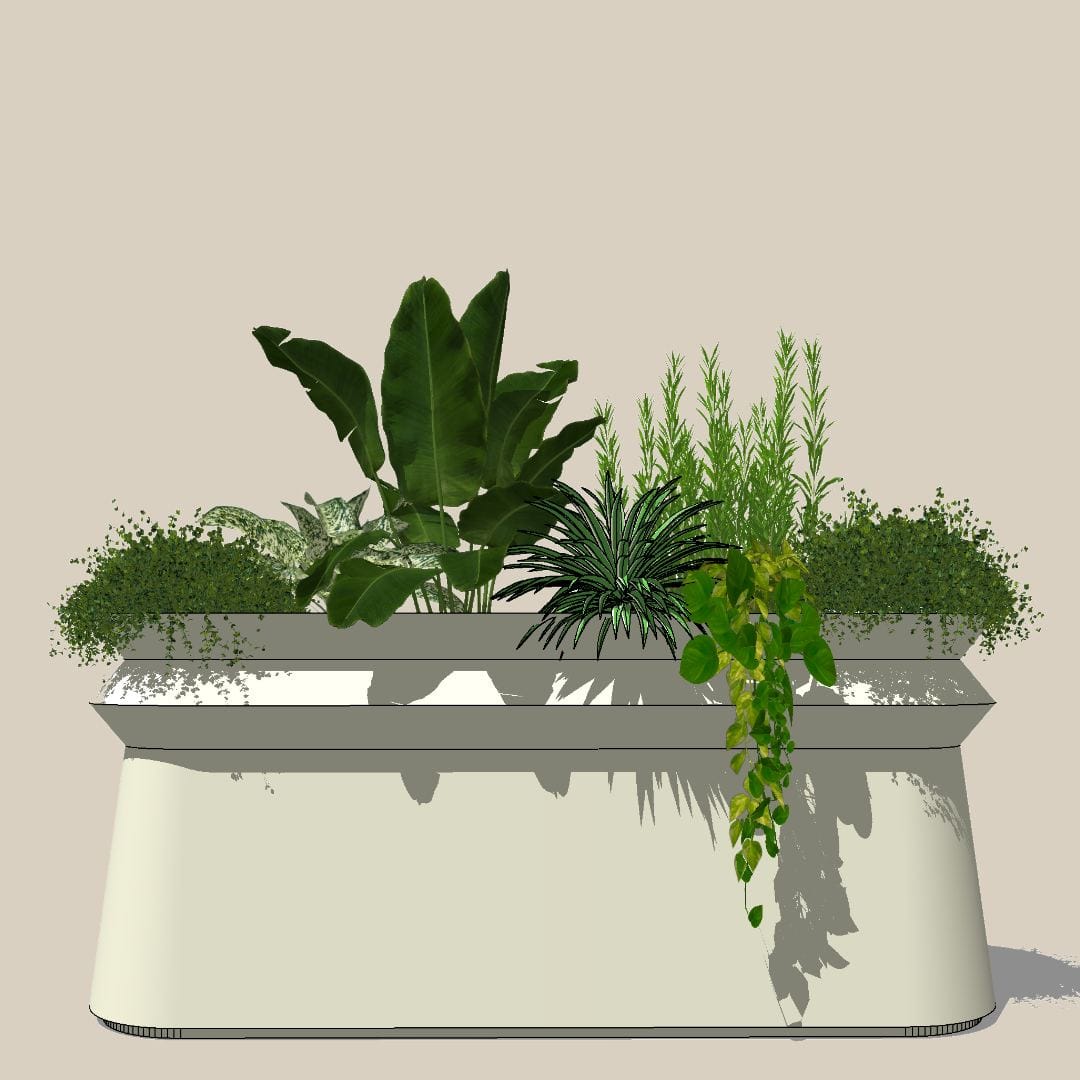 toolbox with aromatic plants