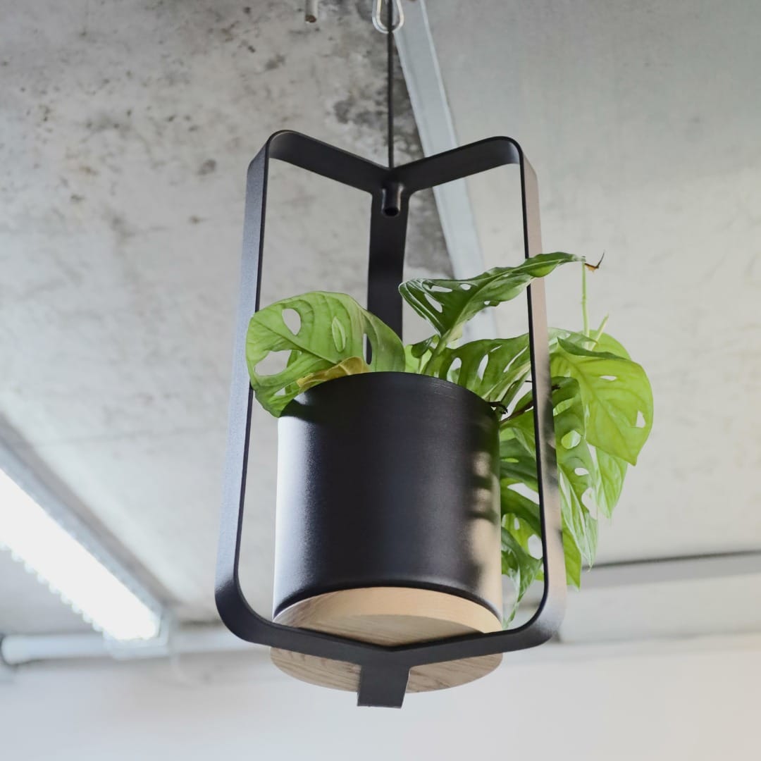 iron pipe chandelier plant hanger with mixed greenery