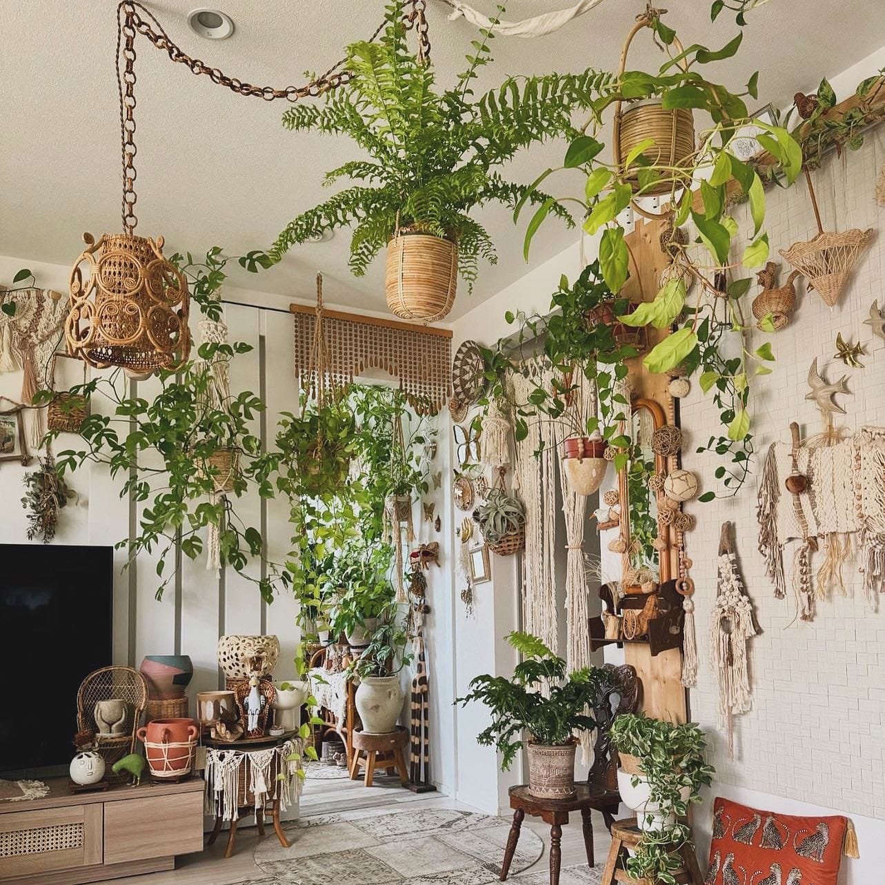 tropical plants in wooden crate