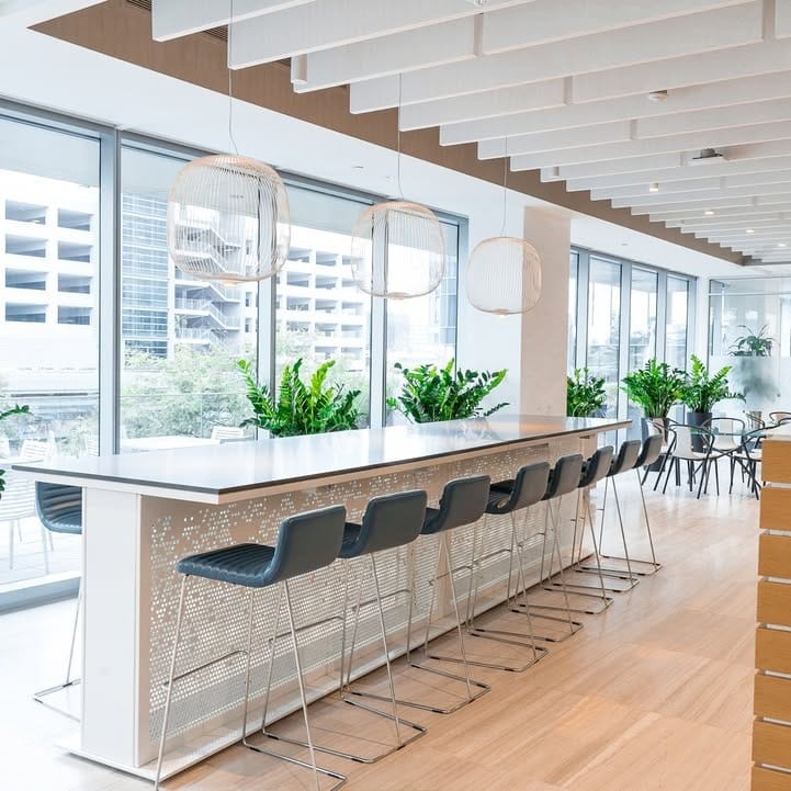 employee watering office plants