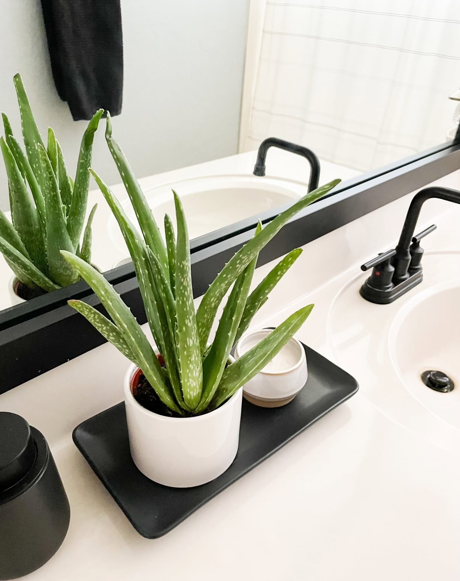 clear quartz with aloe vera on bathroom shelf