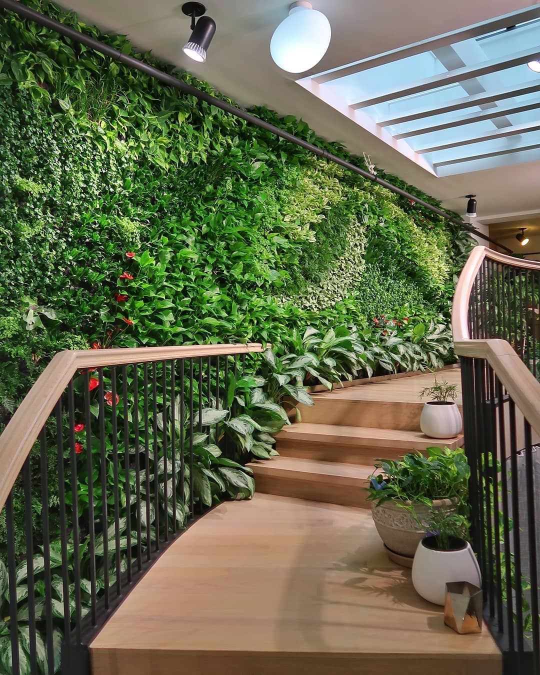 wall-mounted frames with plants