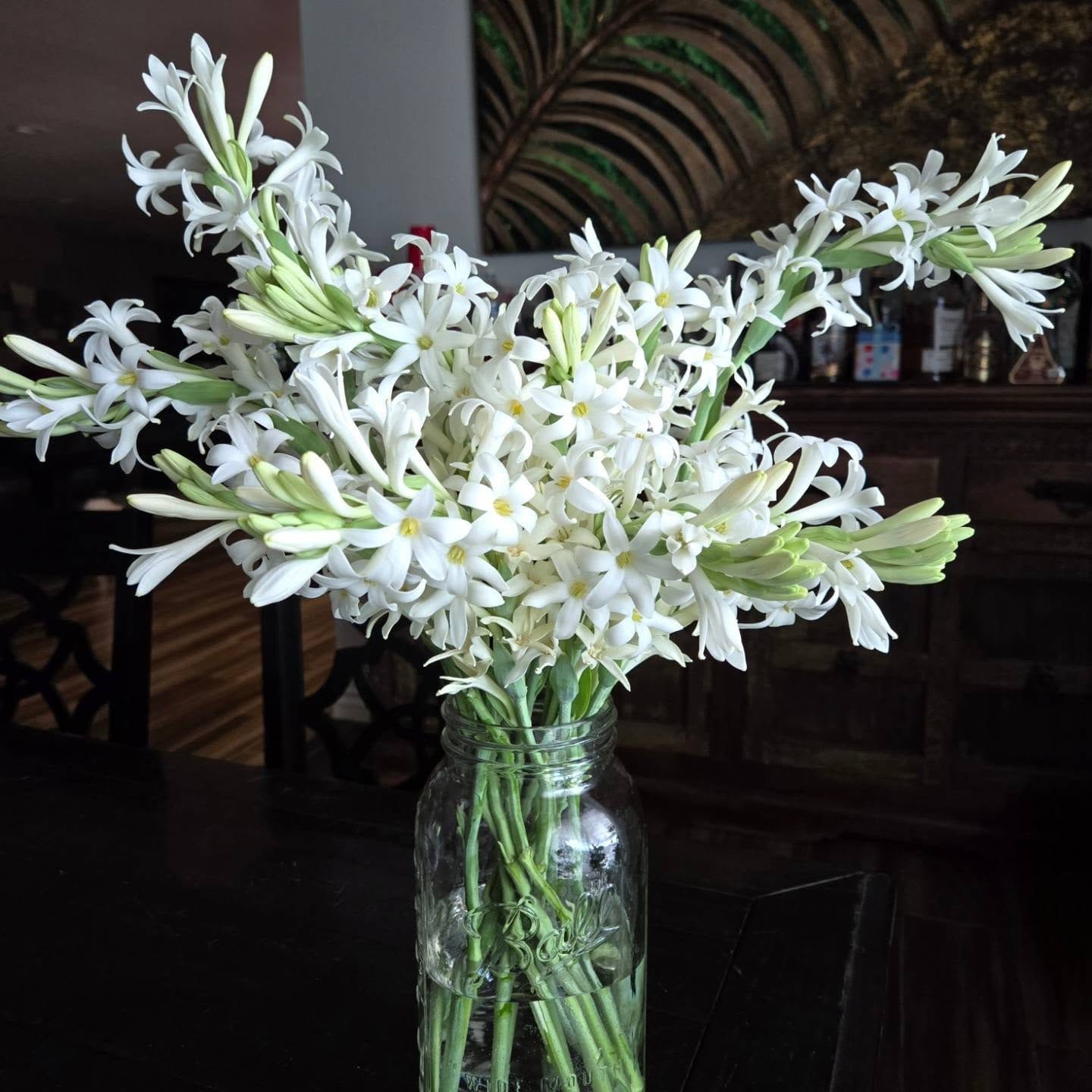 tuberose stems in vase