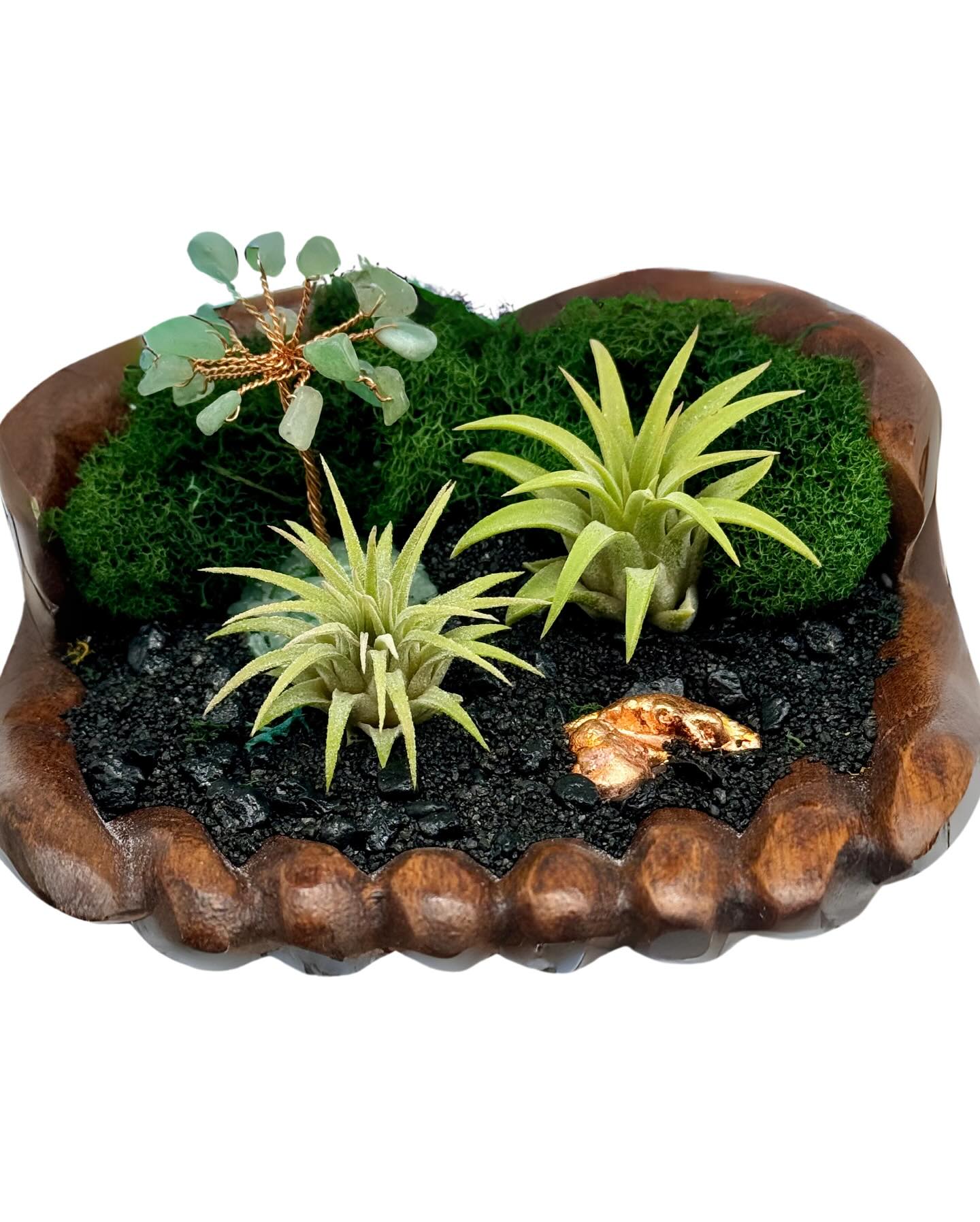 driftwood with miniature Zen garden setup