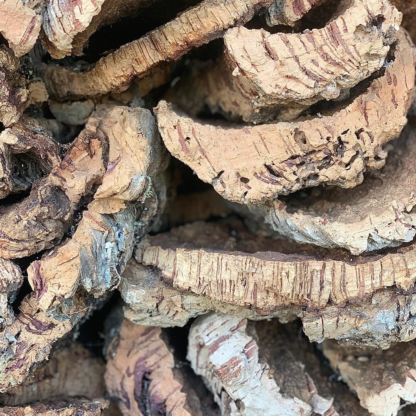 cork bark with metal accents