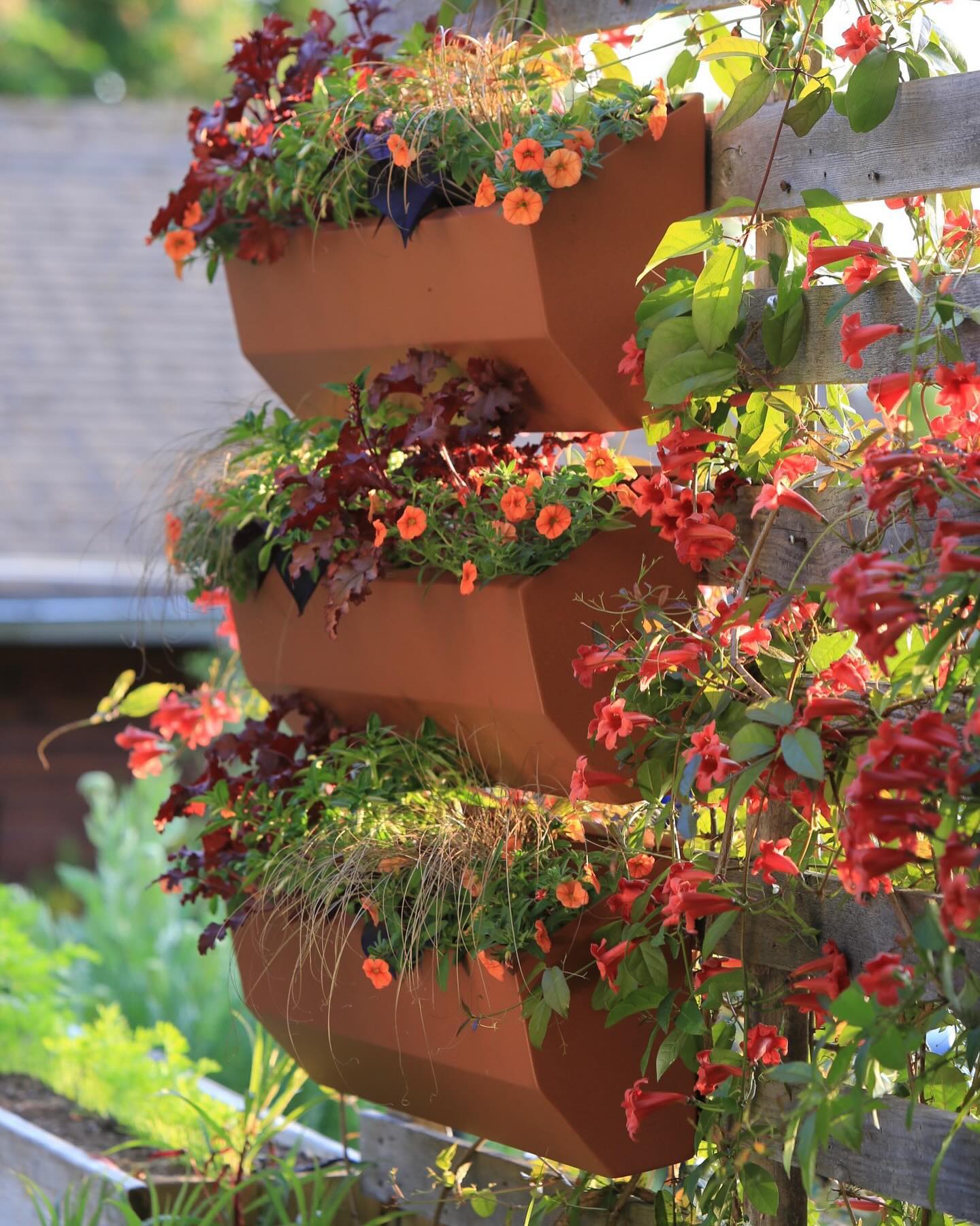seasonal plant tapestry with autumn hues