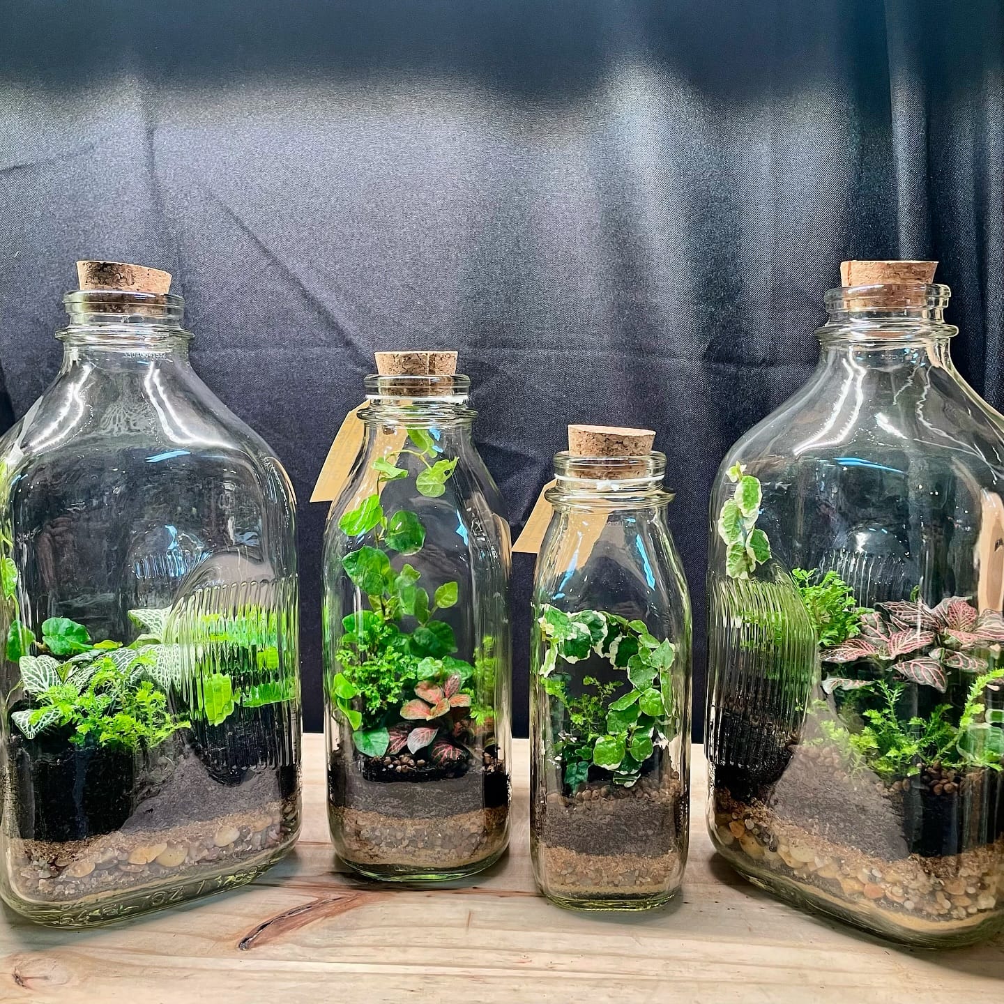 glass jar with cork lid