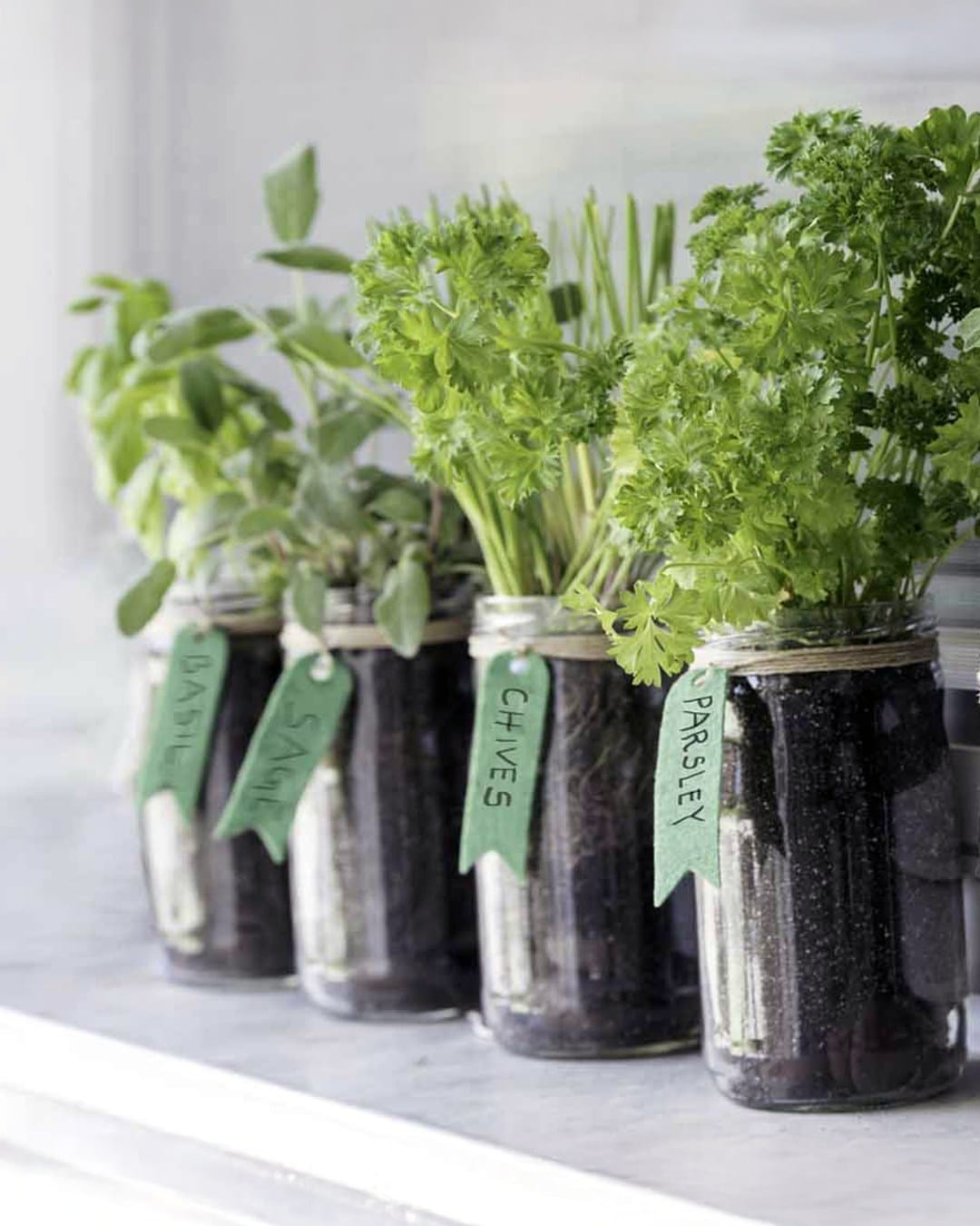 indoor herb garden in kitchen