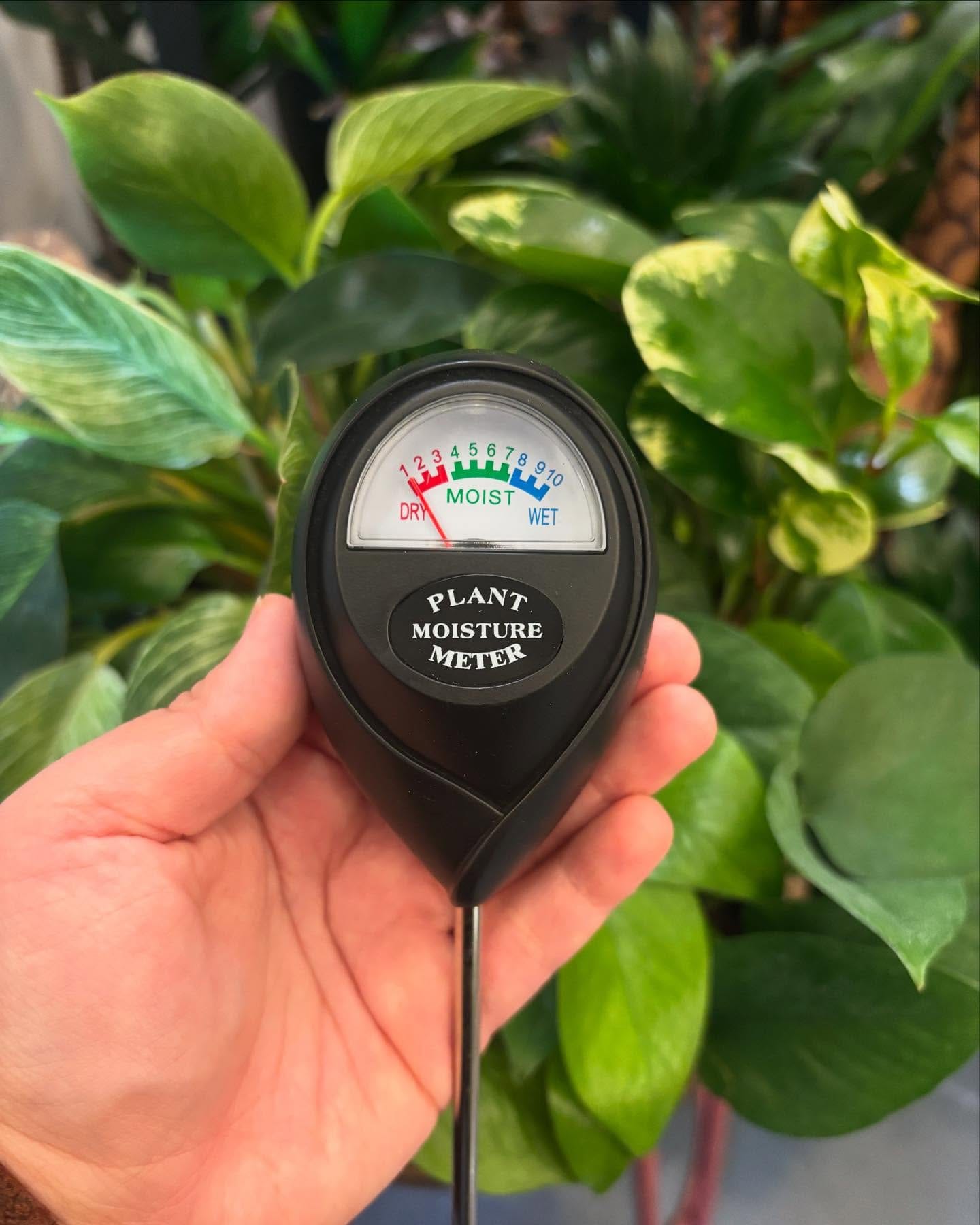 handheld moisture meter