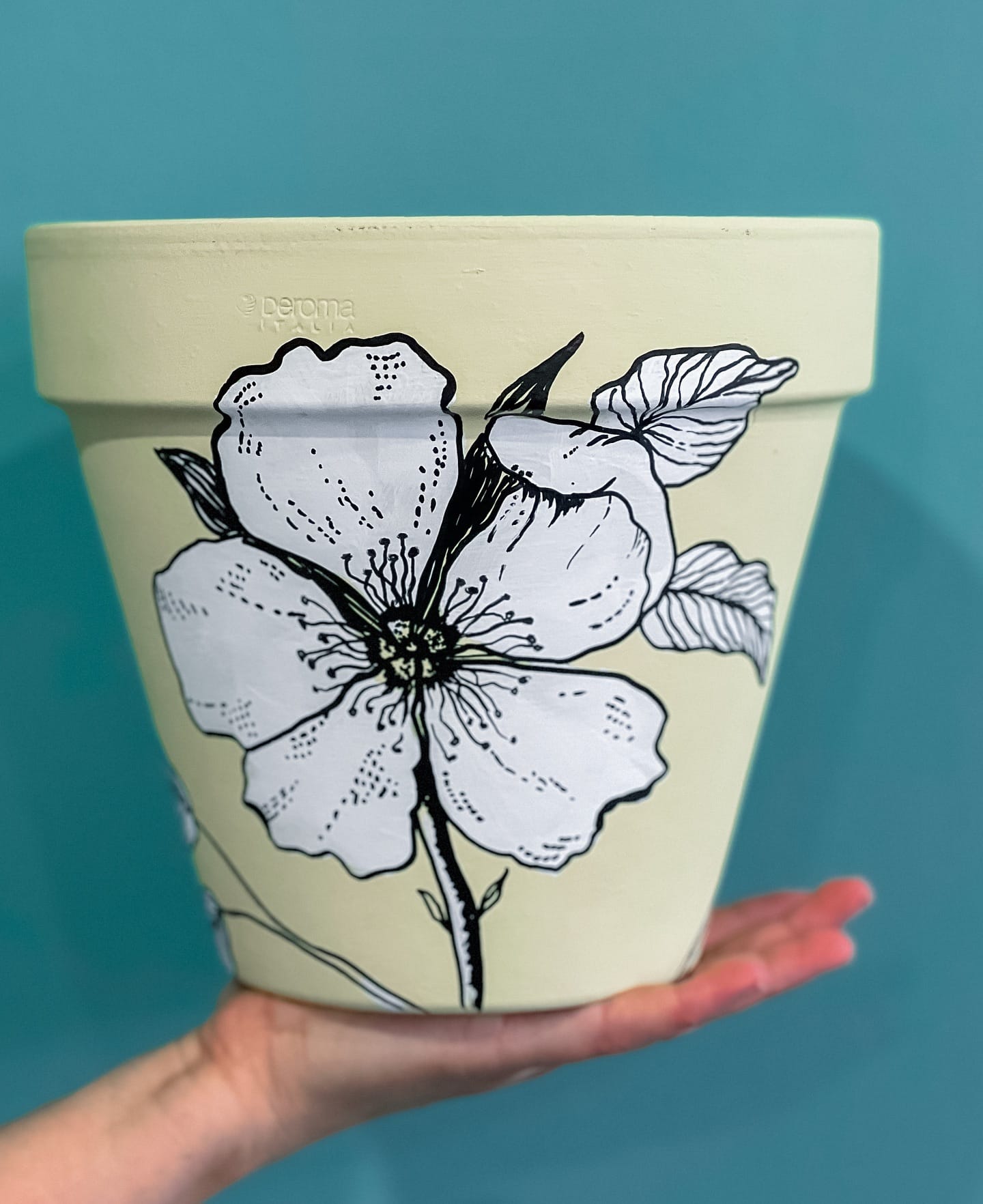 hand-painted plant pots with ferns