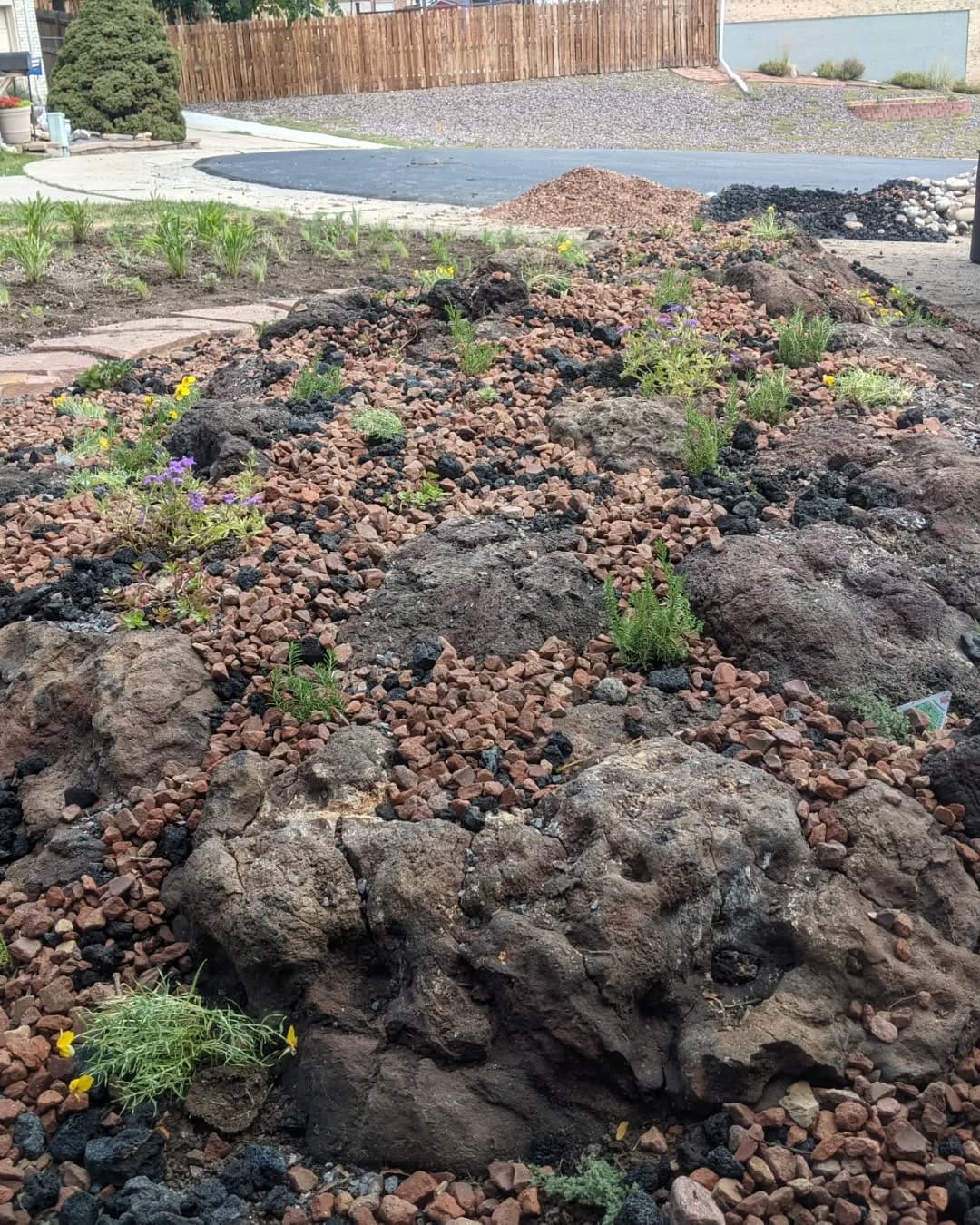variety of volcanic rocks