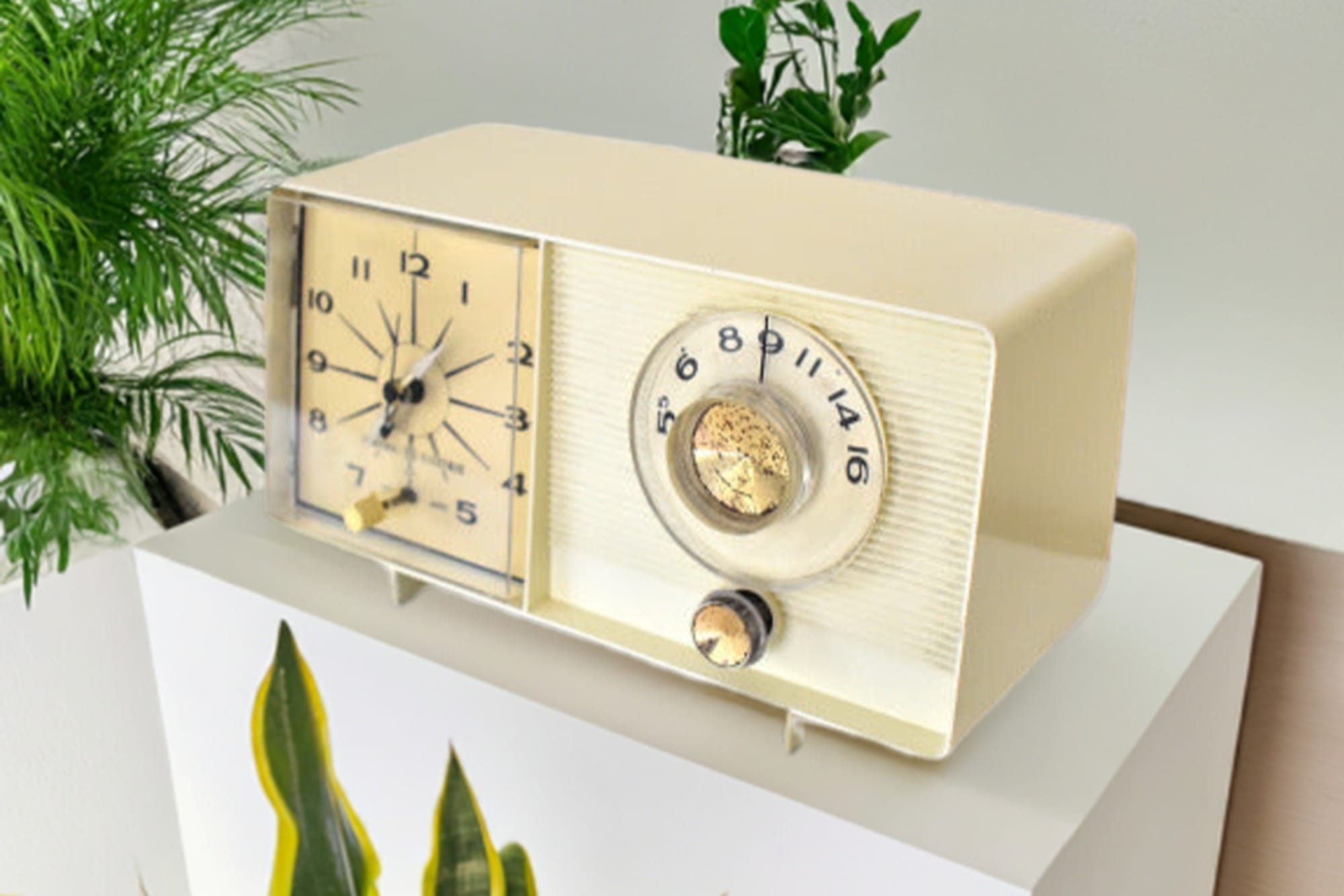 succulents in vintage radio case