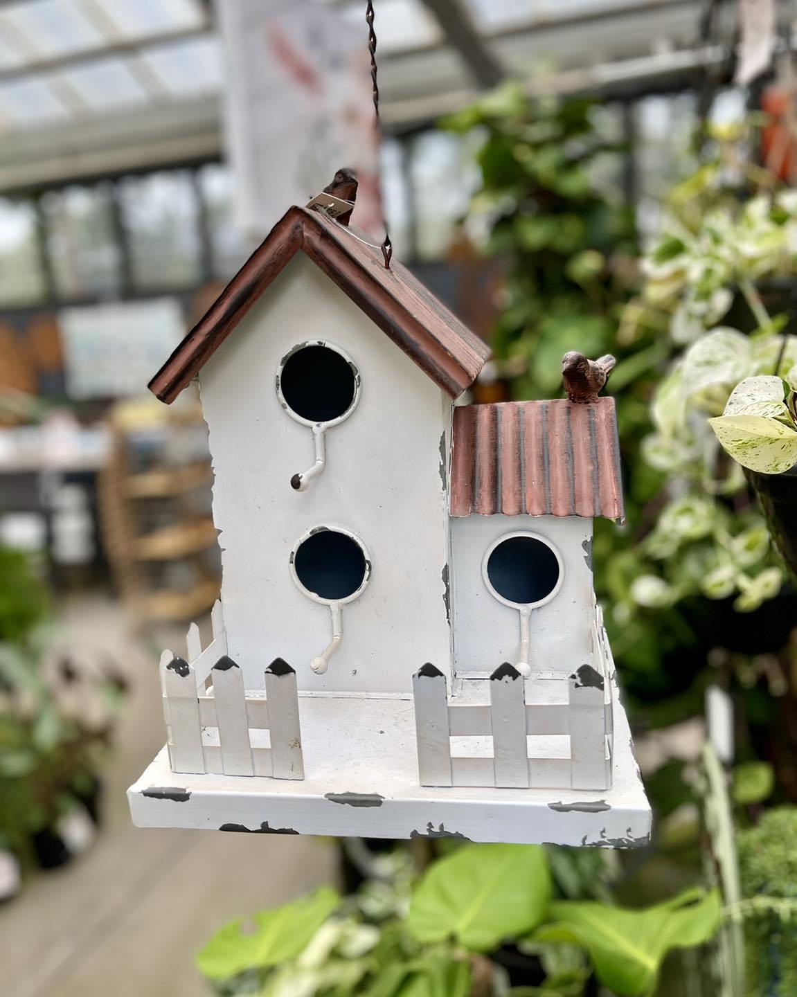 lavender and rosemary in birdcage