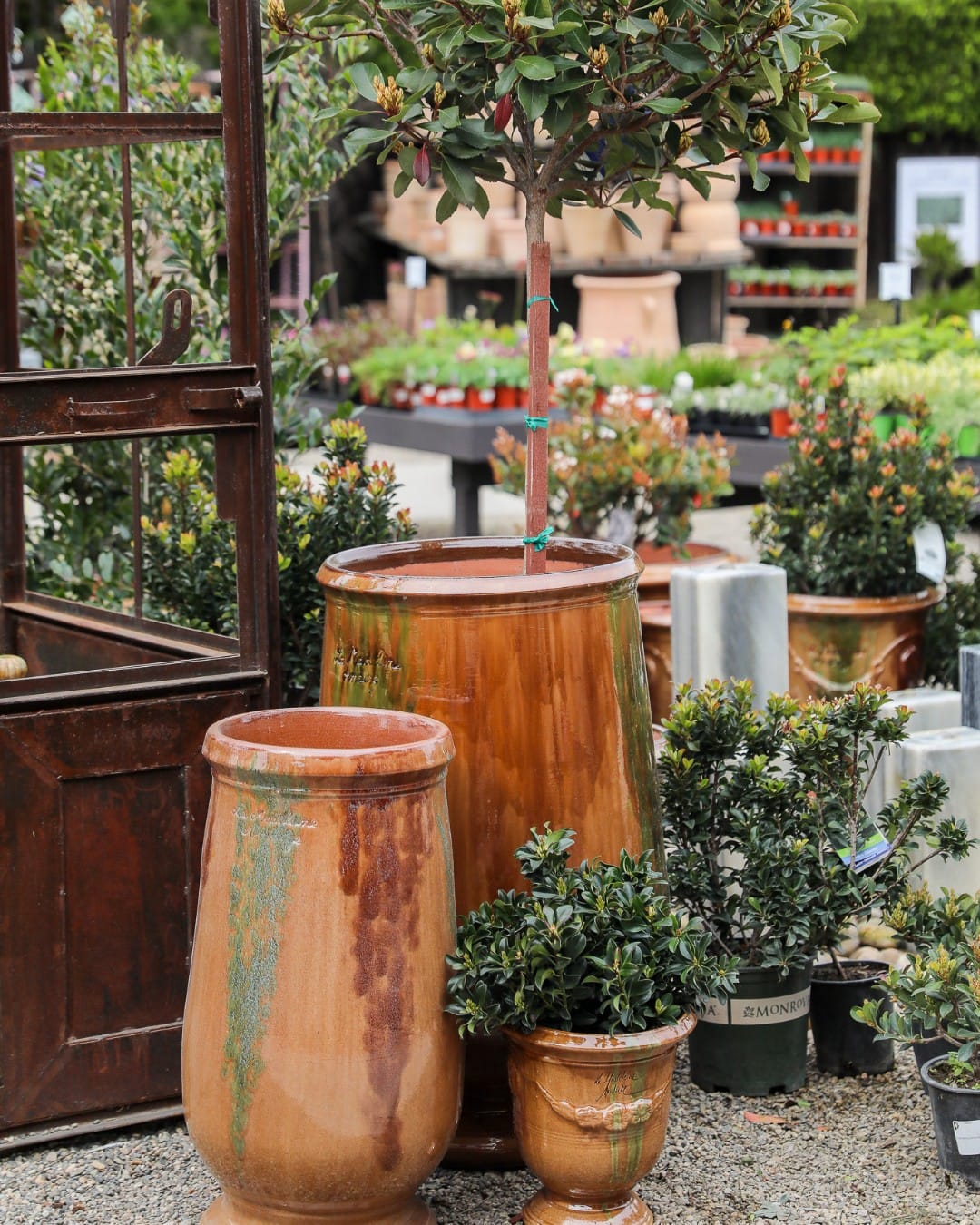 copper sink with assorted cacti