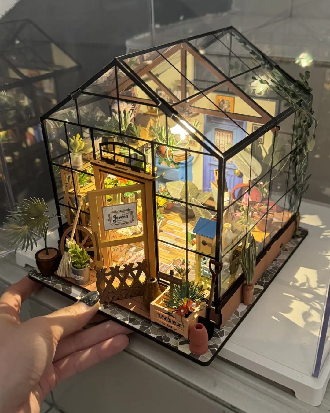 small glass greenhouse with plant cuttings