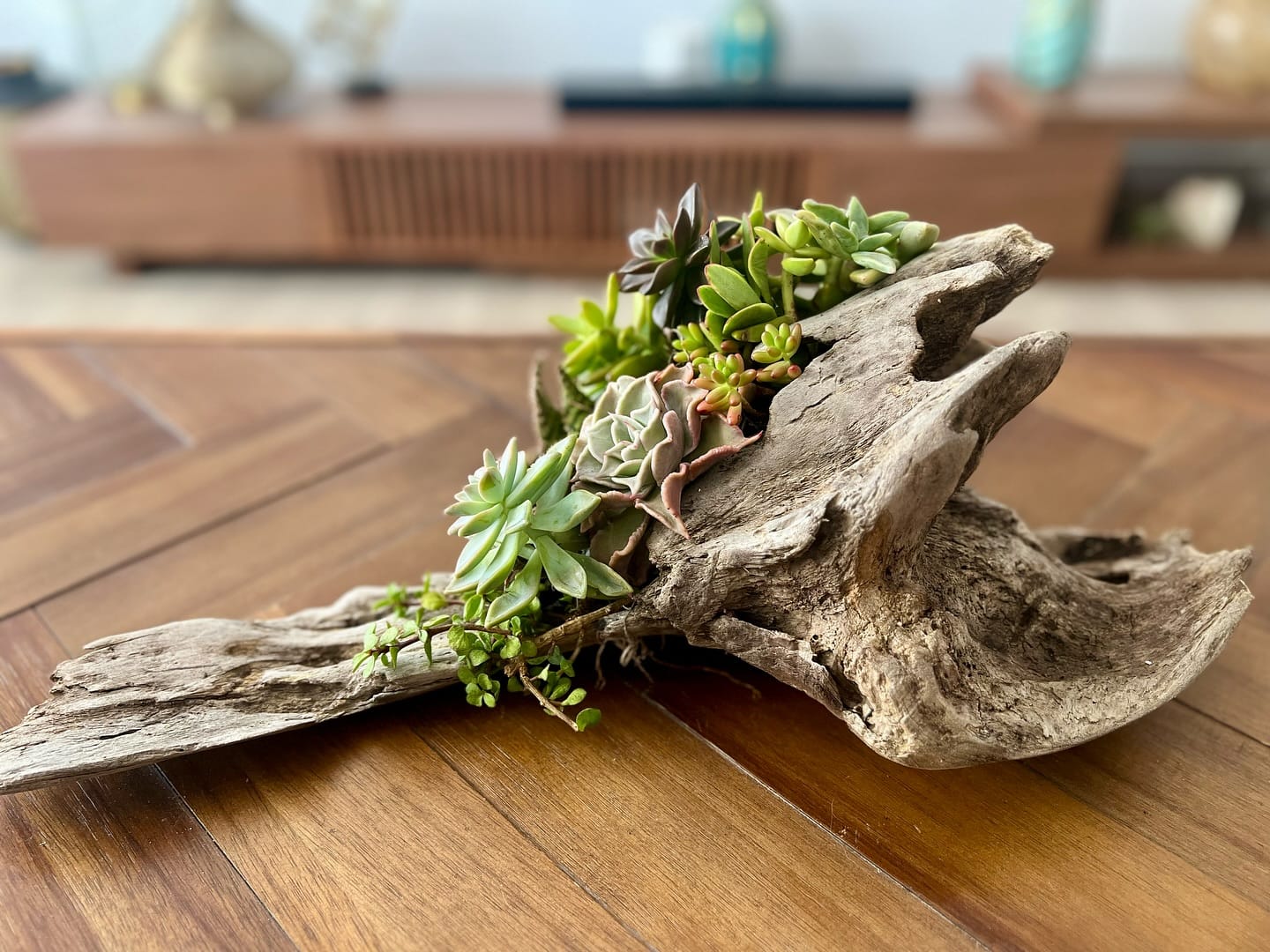 driftwood with herbs and twine