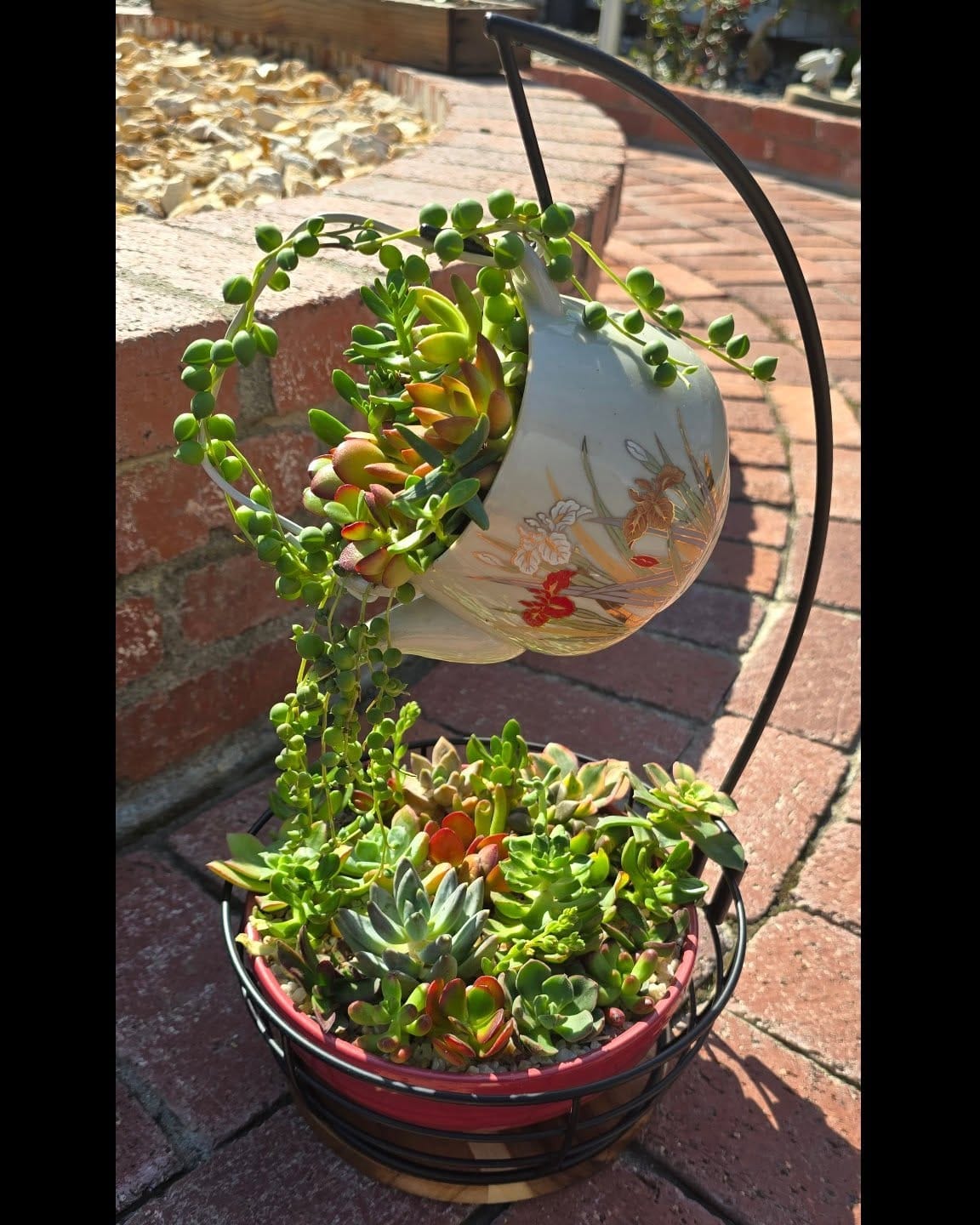 hanging teacup garden